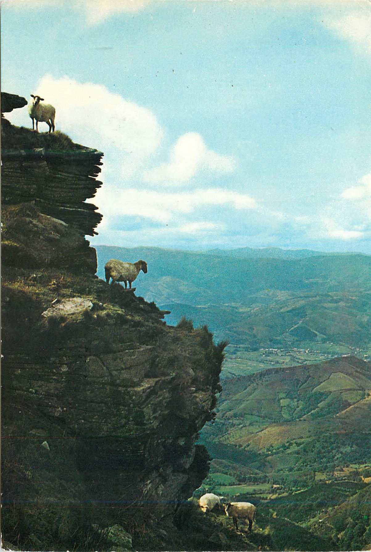 CPM Larun Gain Vues sur les monts de Navarra 