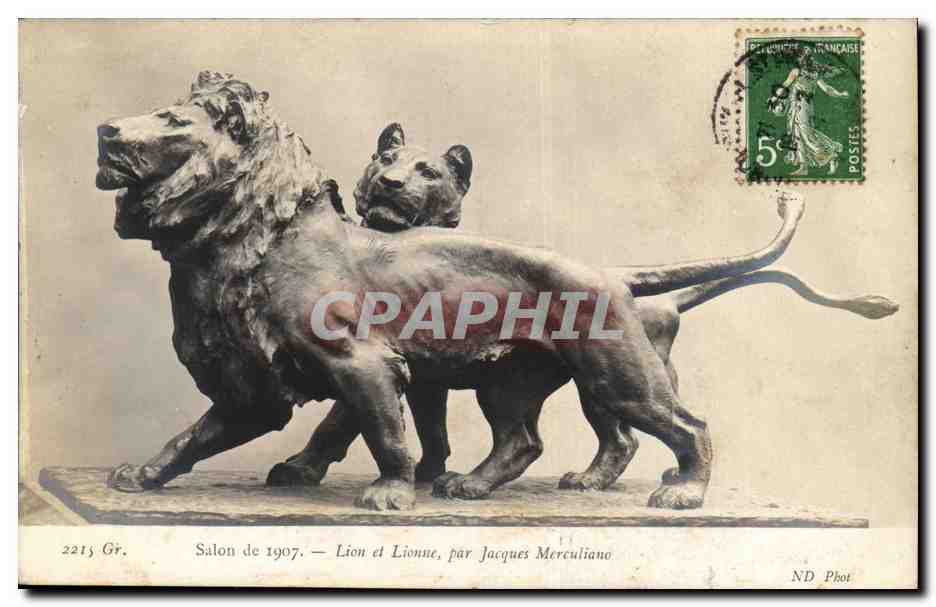 Salon de 1907 CPA Lion et lionne par Jacques Merculiano
