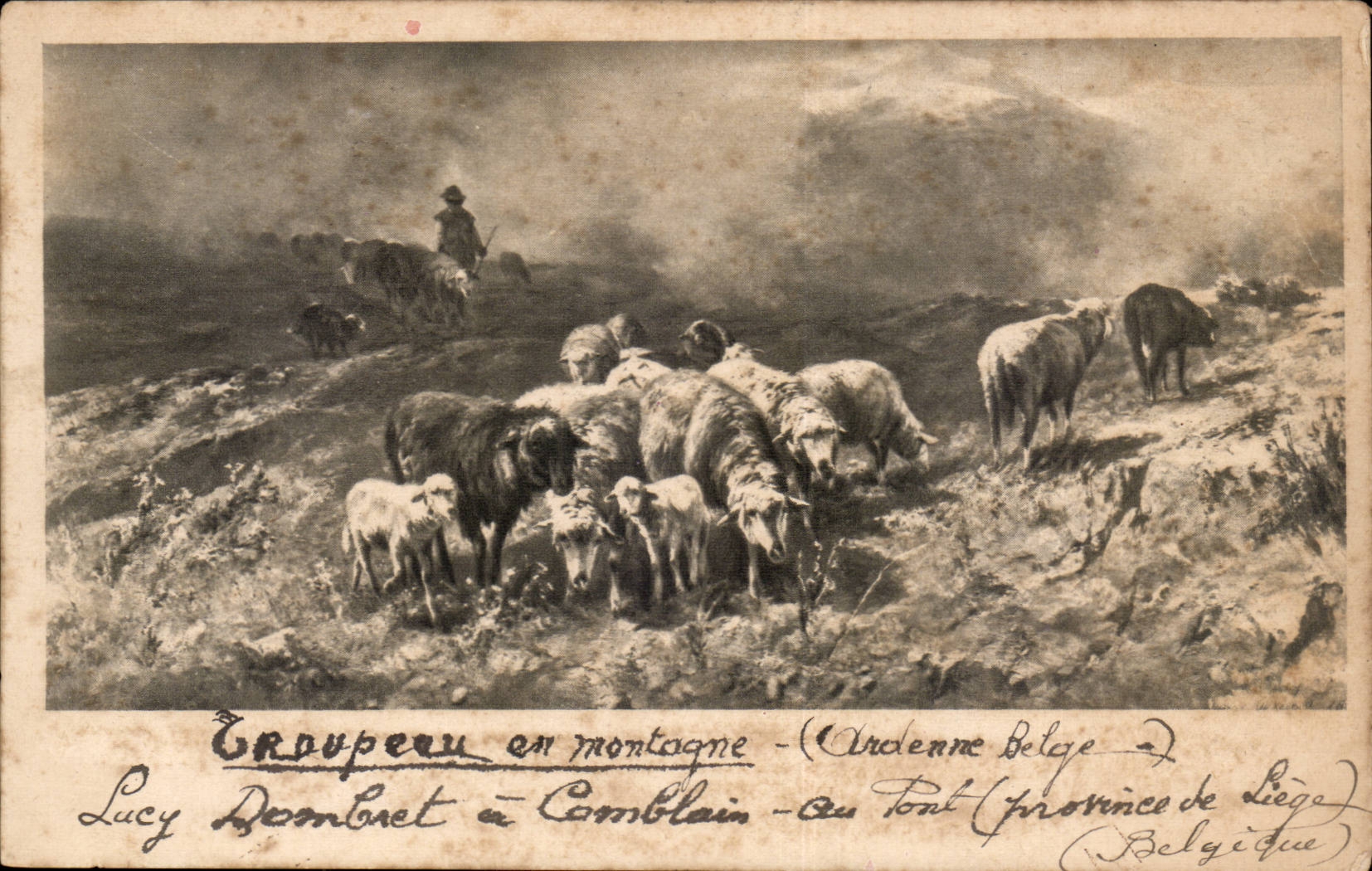 CPA Troupeau en montagne (moutons elevage) Ardenne belgeLucy Dombret a Comblais au Pont