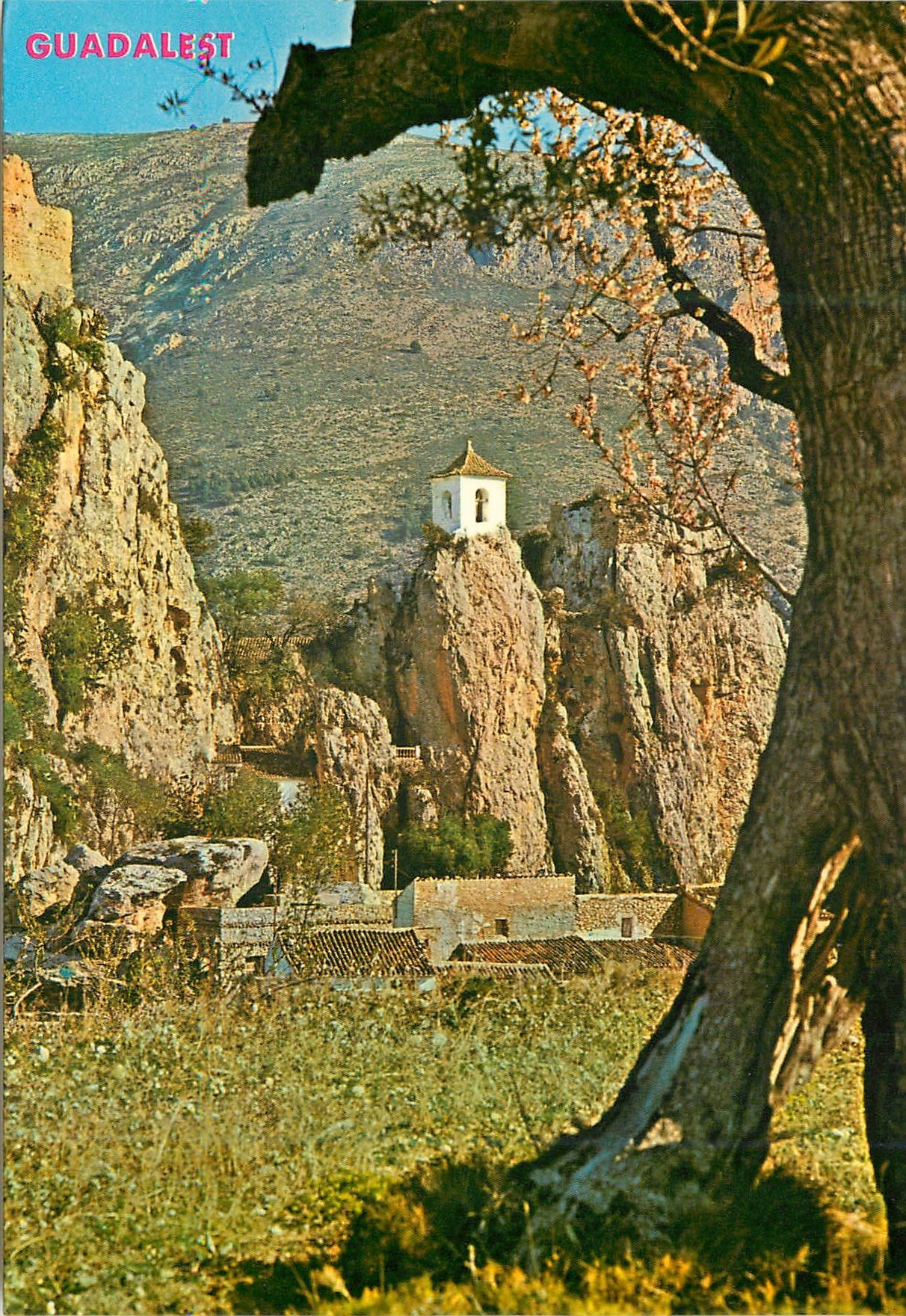 CPM Castell de Guadalest (Alicante) Vue Pittoresque