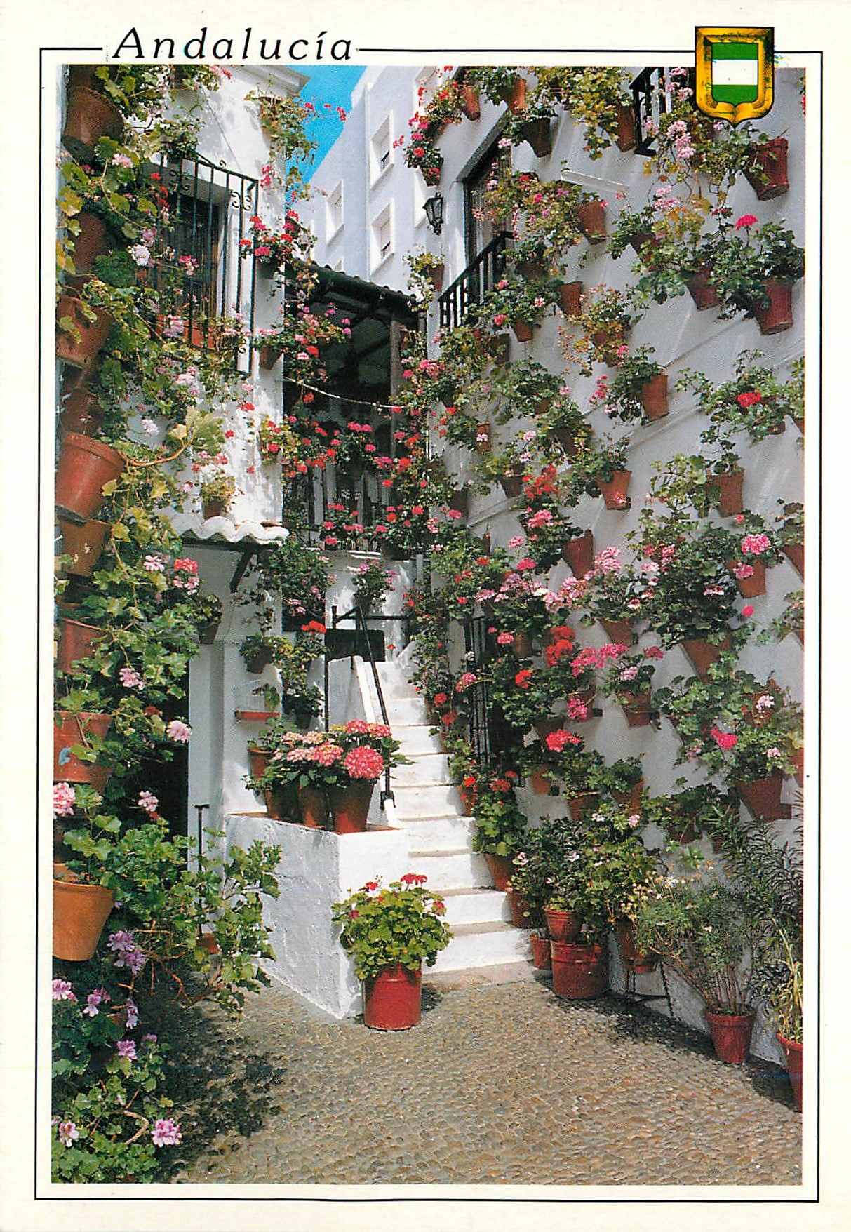 CPM Andalucia Cour andalou