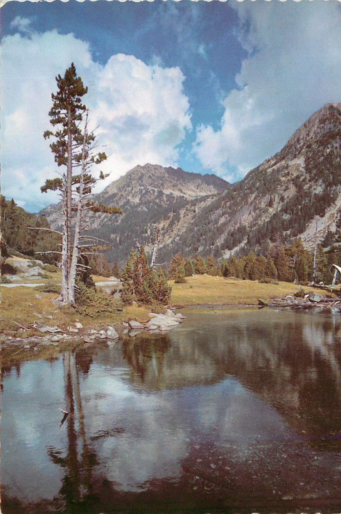 CPM Pirineos de Lerida Vallee de Bohi Parc Nationa Aigues Tortes