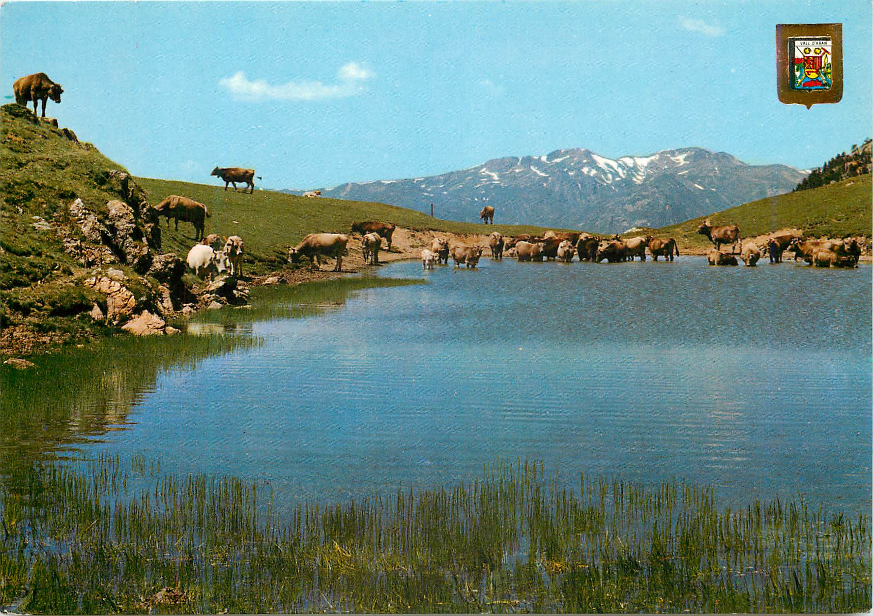 CPM Pirineu catala (Lleida) vall d'Aran port de la bonalgue