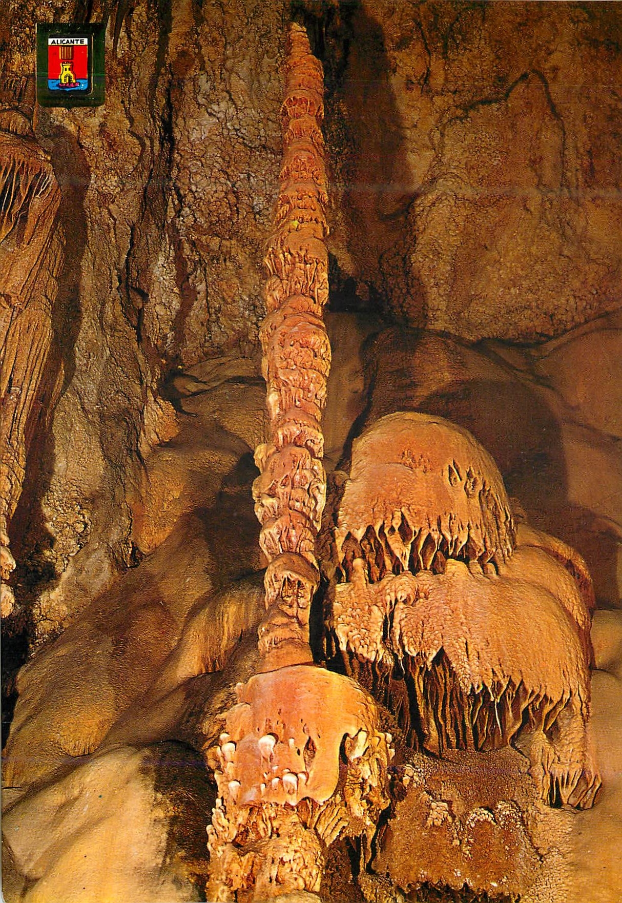 CPM Alicante busot cuevas de canalobre palmier et medumes de mer