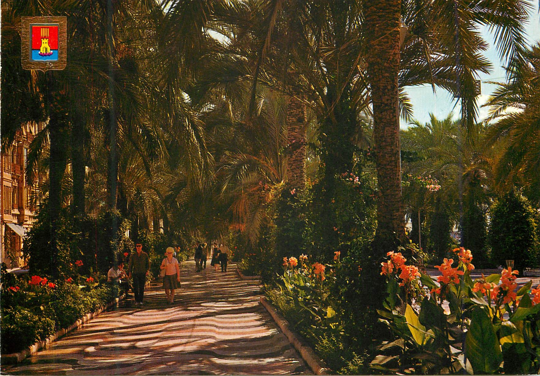 CPM Alicante busot esplanade d'espagne et jardins