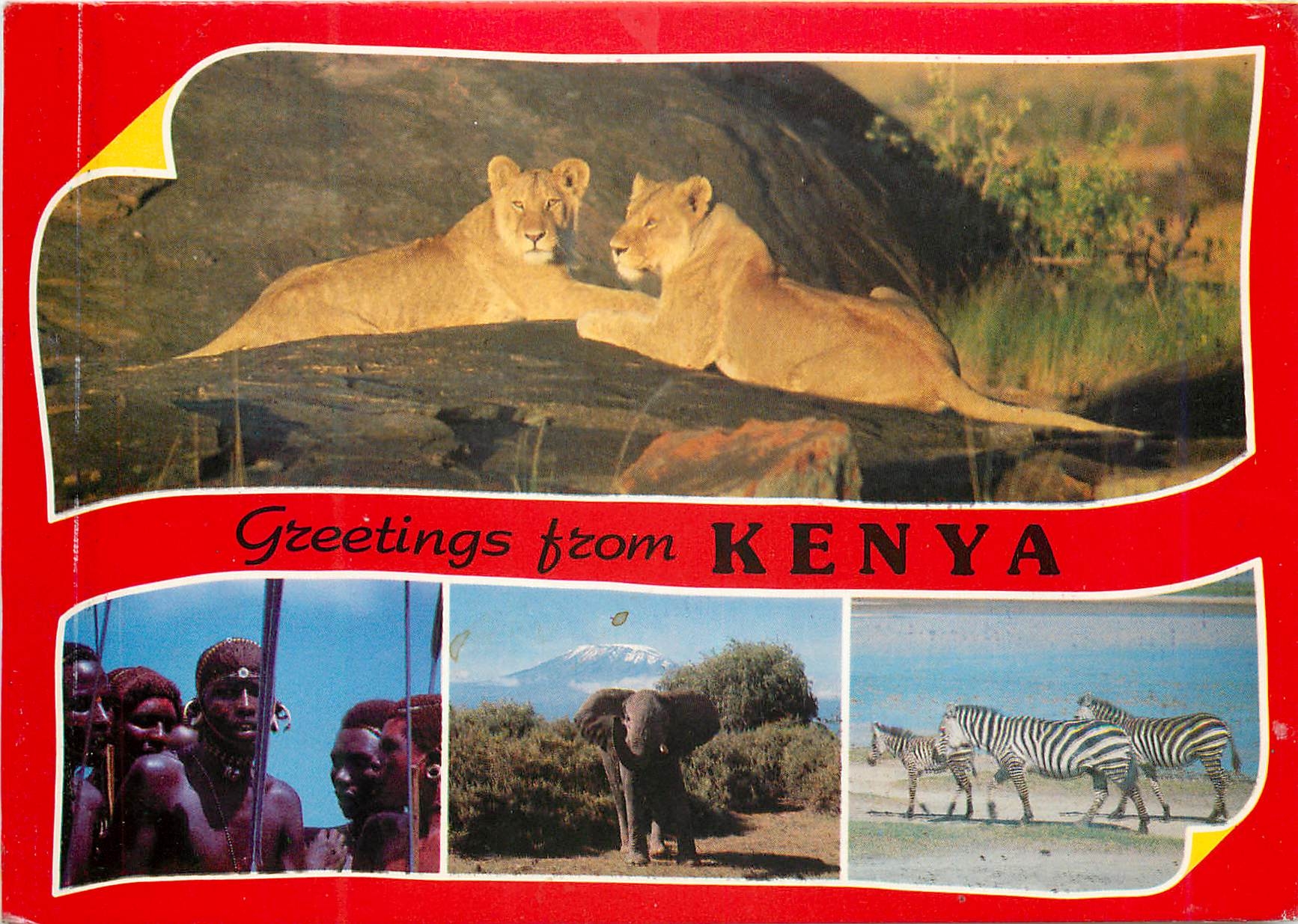 CPM Popular Kenya scenes Kenya Lion Zebre Zebra