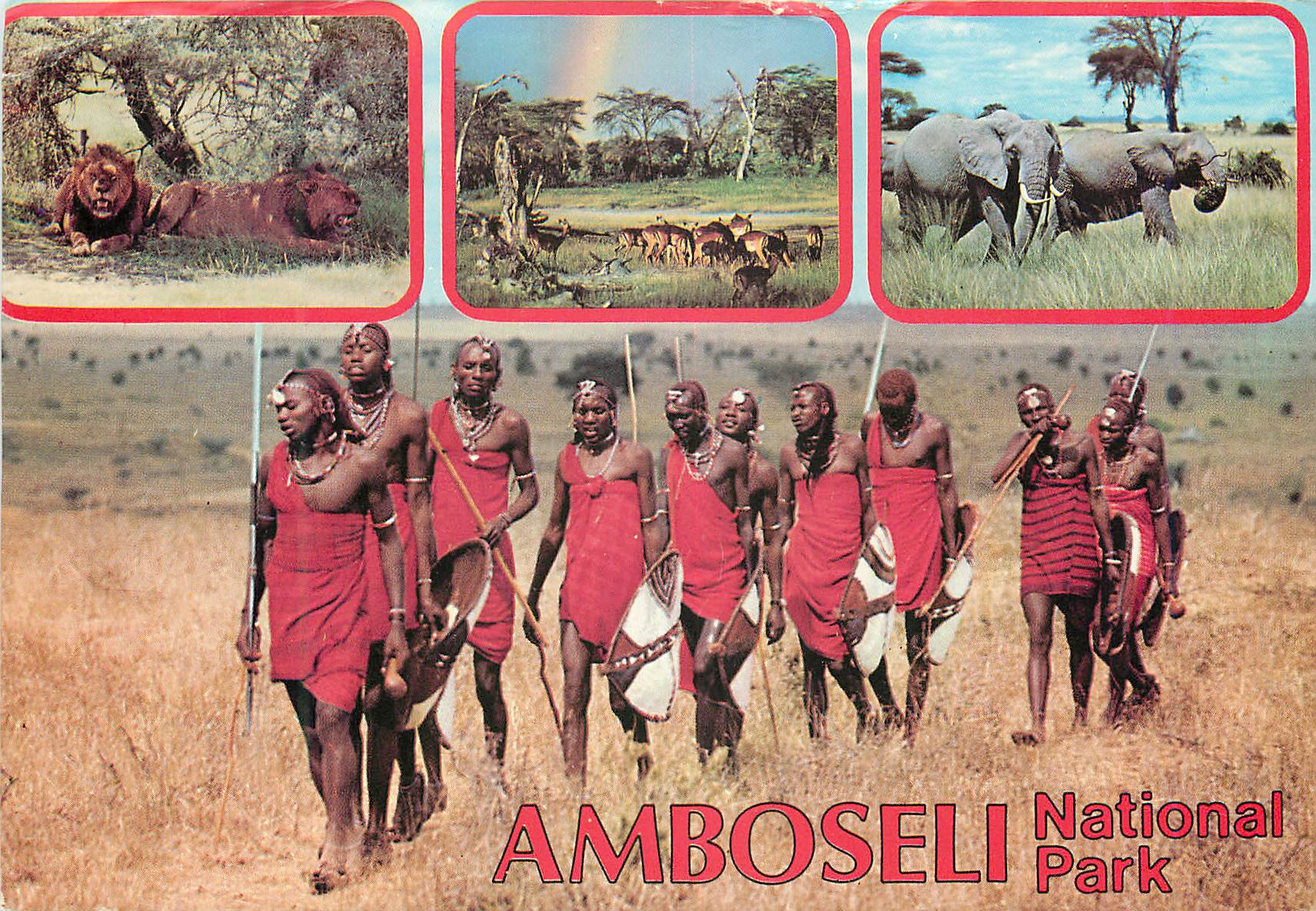 CPM Kensta wildlife series amboseli National Park Elephant