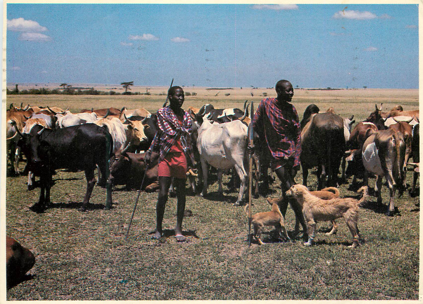 CPM Maasai Kenya