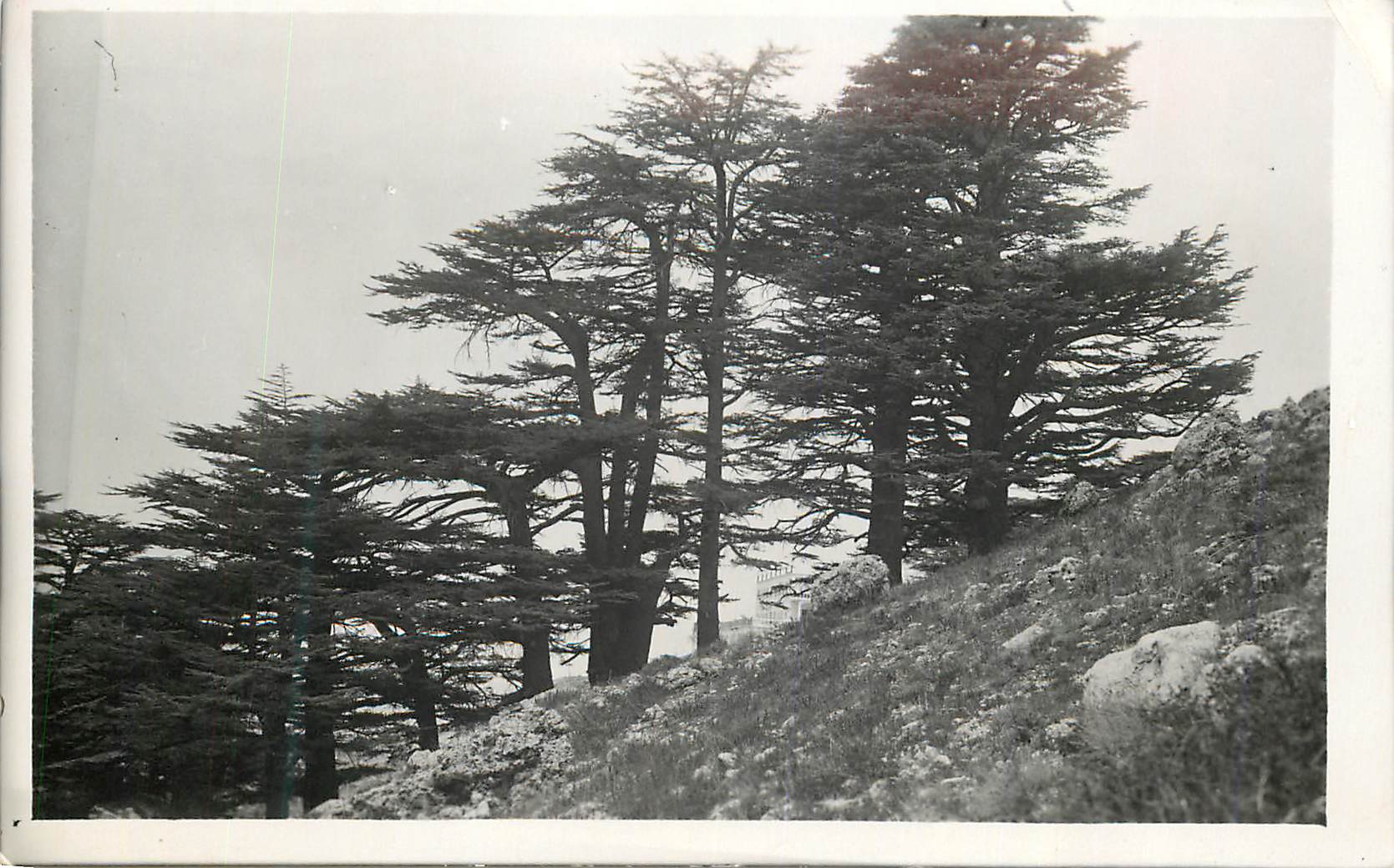 CPM Liban