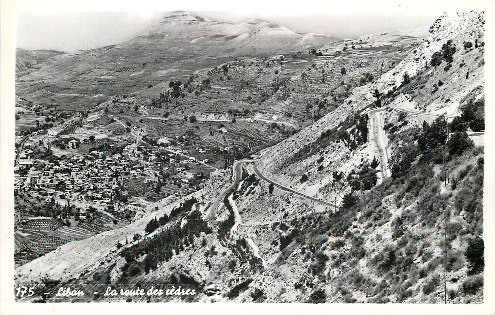 CPM Lebanon the road to the cedars