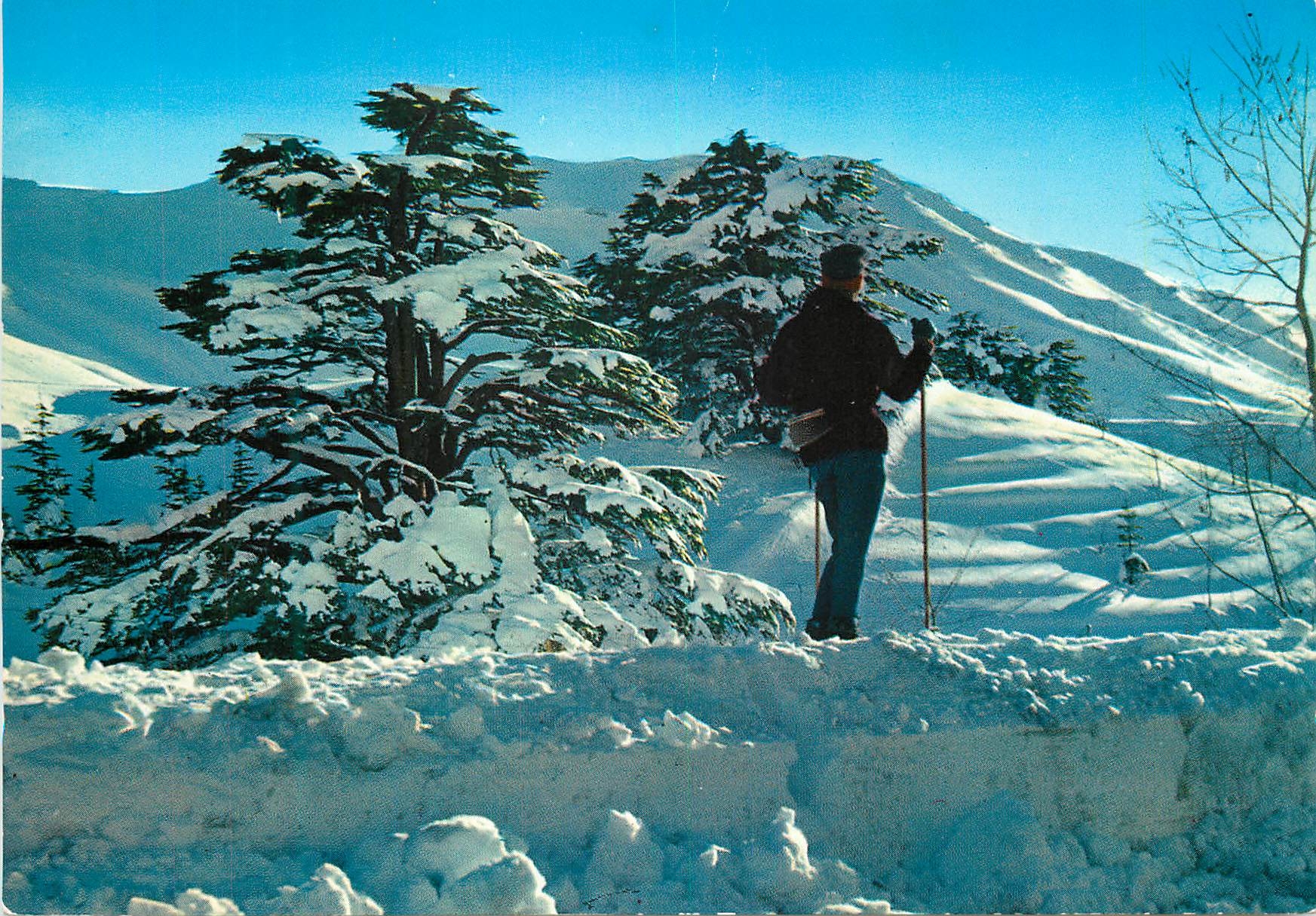 CPM Lebanon cedars silhoette d'un moniteur de ski