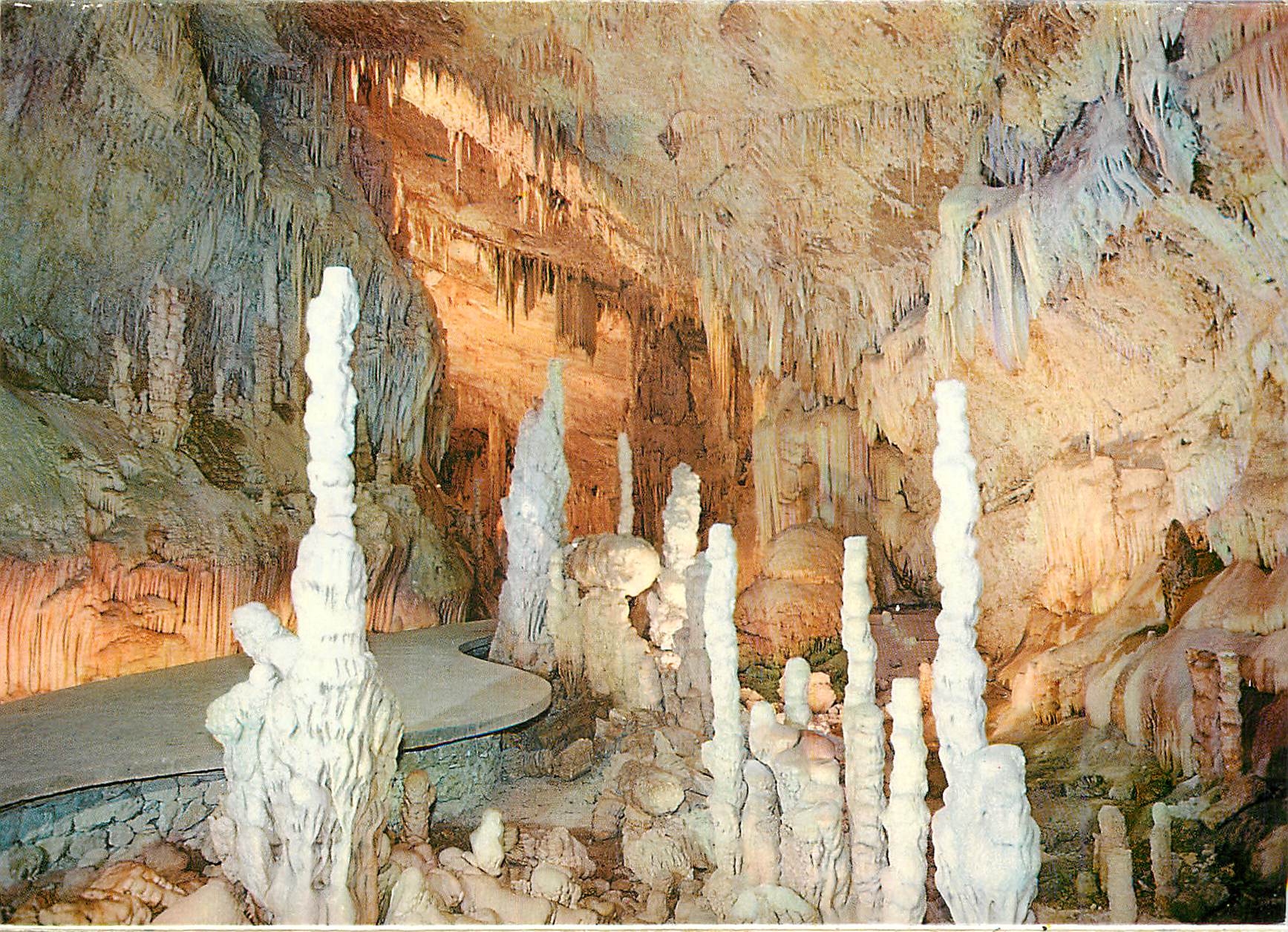 CPM Lebanon Jilta grotte upper Gallery foret petrifiee