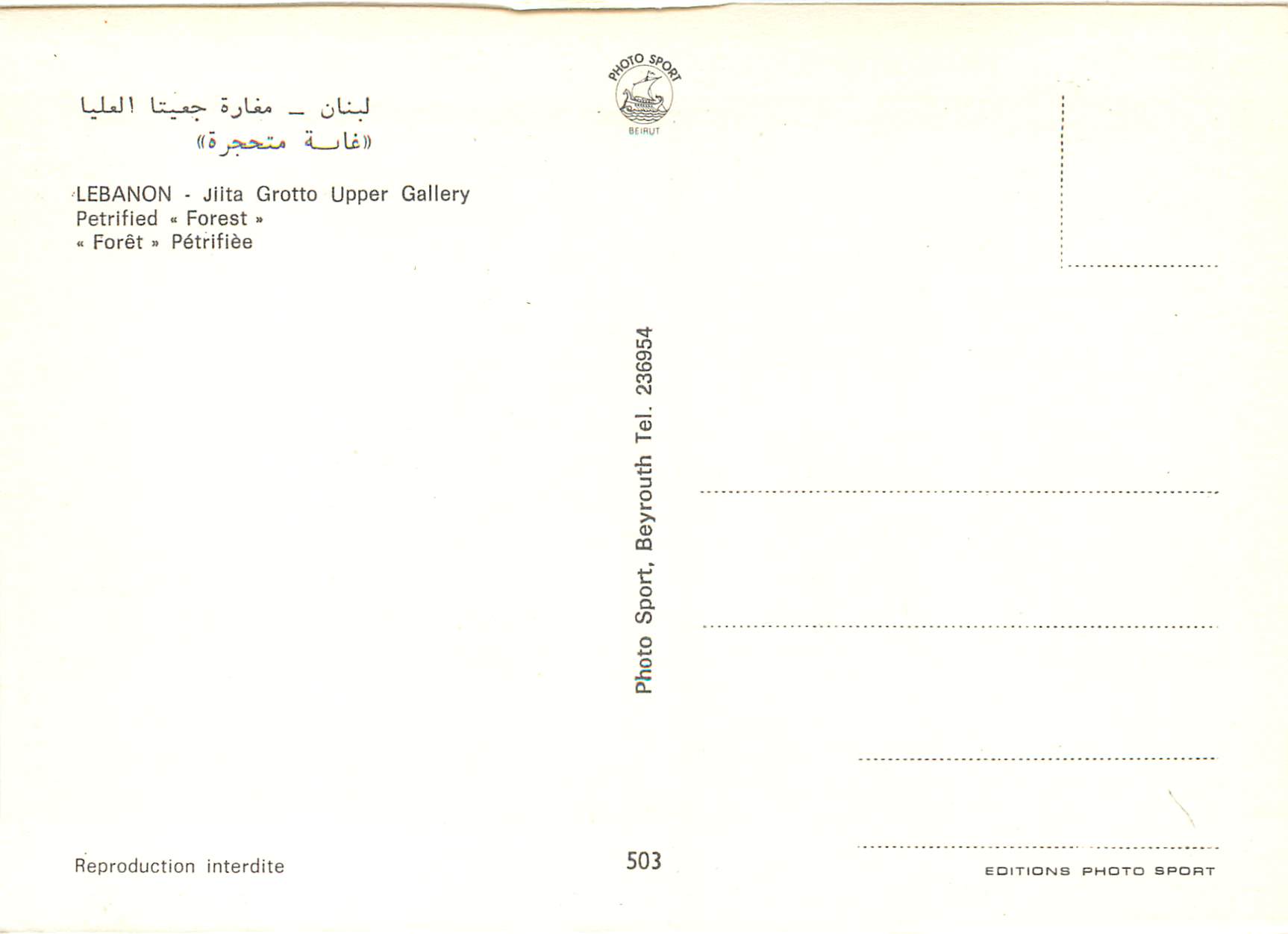 CPM Lebanon Jilta grotte upper Gallery foret petrifiee — Rückseite