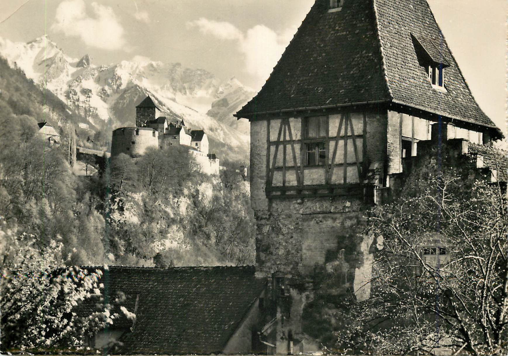 CPM Schloss vaduz furstentum liechtenstein mlit rappenstein und falknis