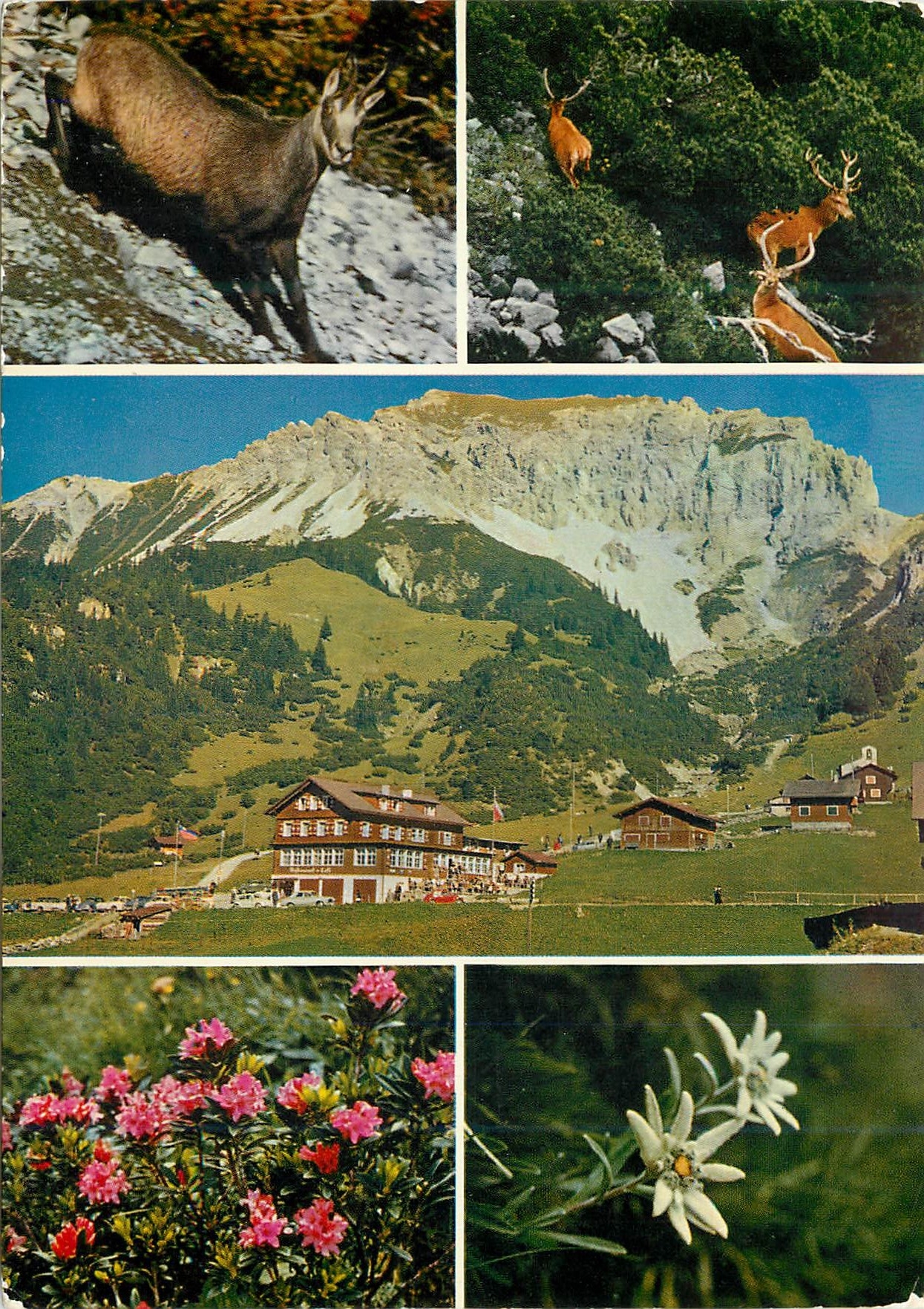 CPM Malbun 1650 m furstentum liechtenstein