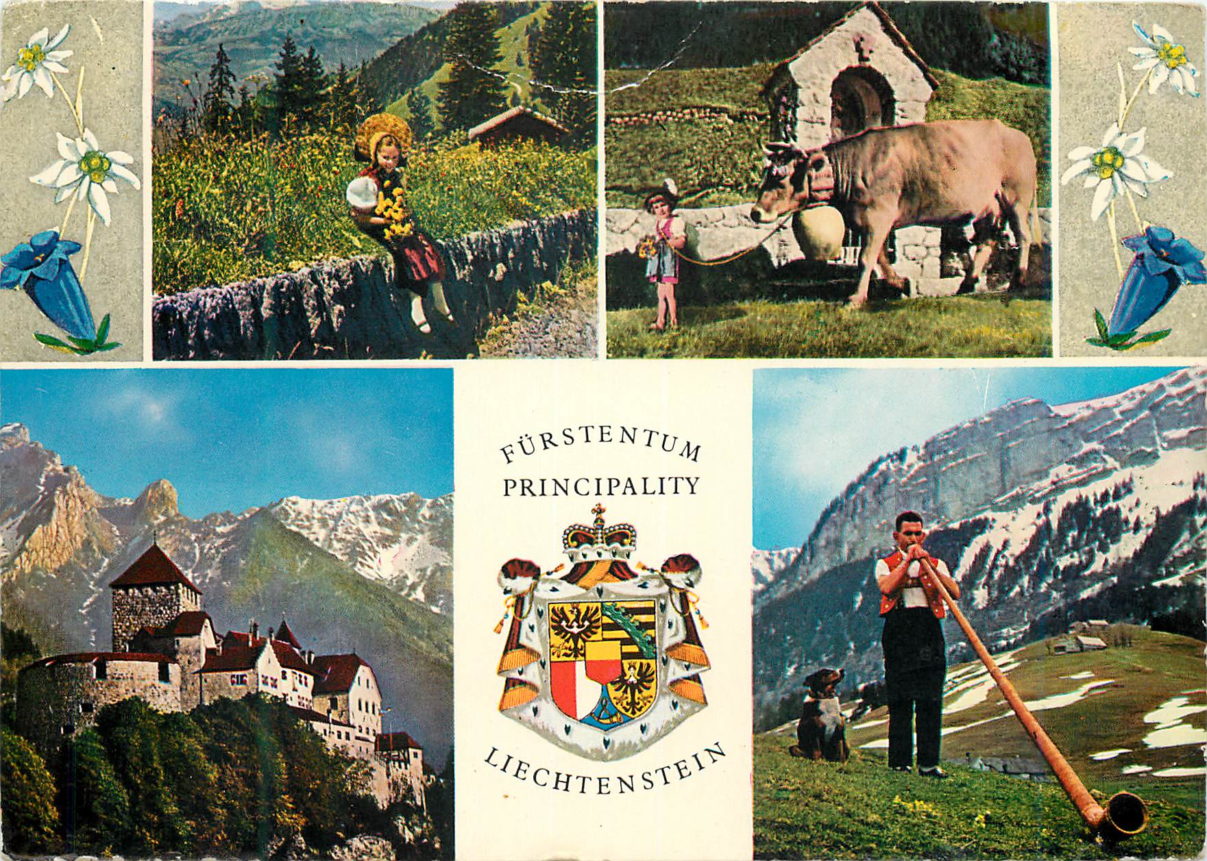 CPM Furstentum principality liechtenstein schlob (560 m u M) mlit falknis 2566 m