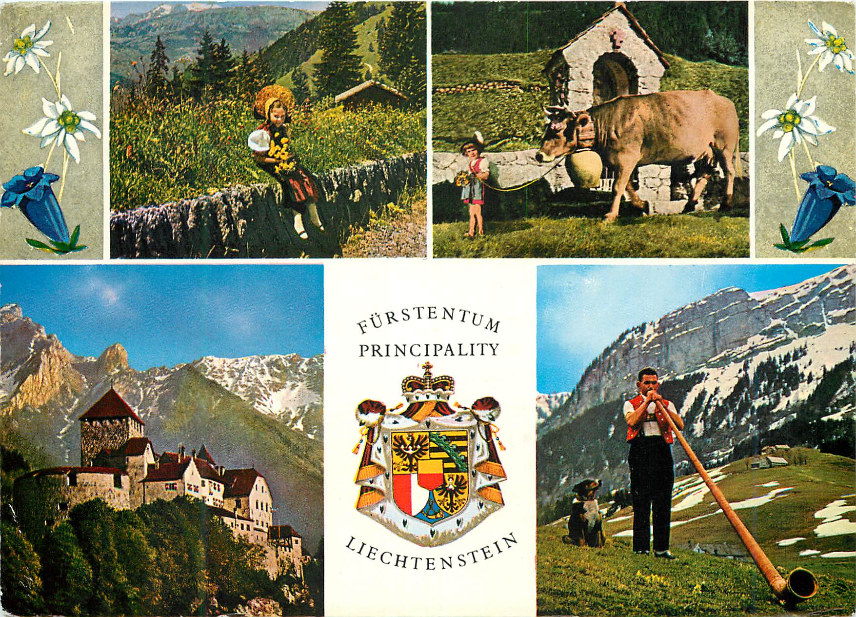 CPM Furstentum principality liechtenstein schlob vaduz (560 m u M) mit falknis 2566m