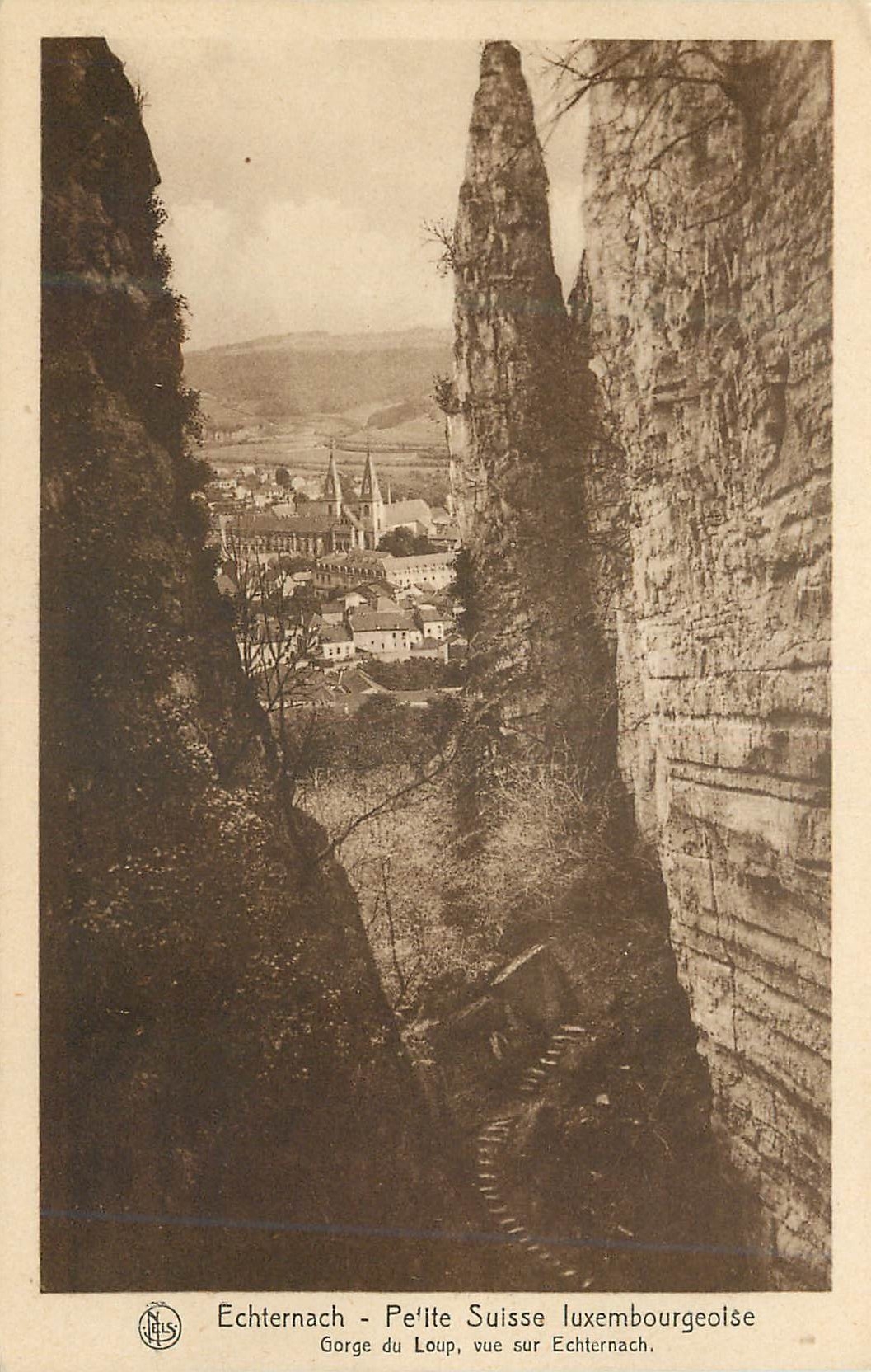 CPM Echternach petite suisse luxembourgeoise gorge du loup vue sur echternach