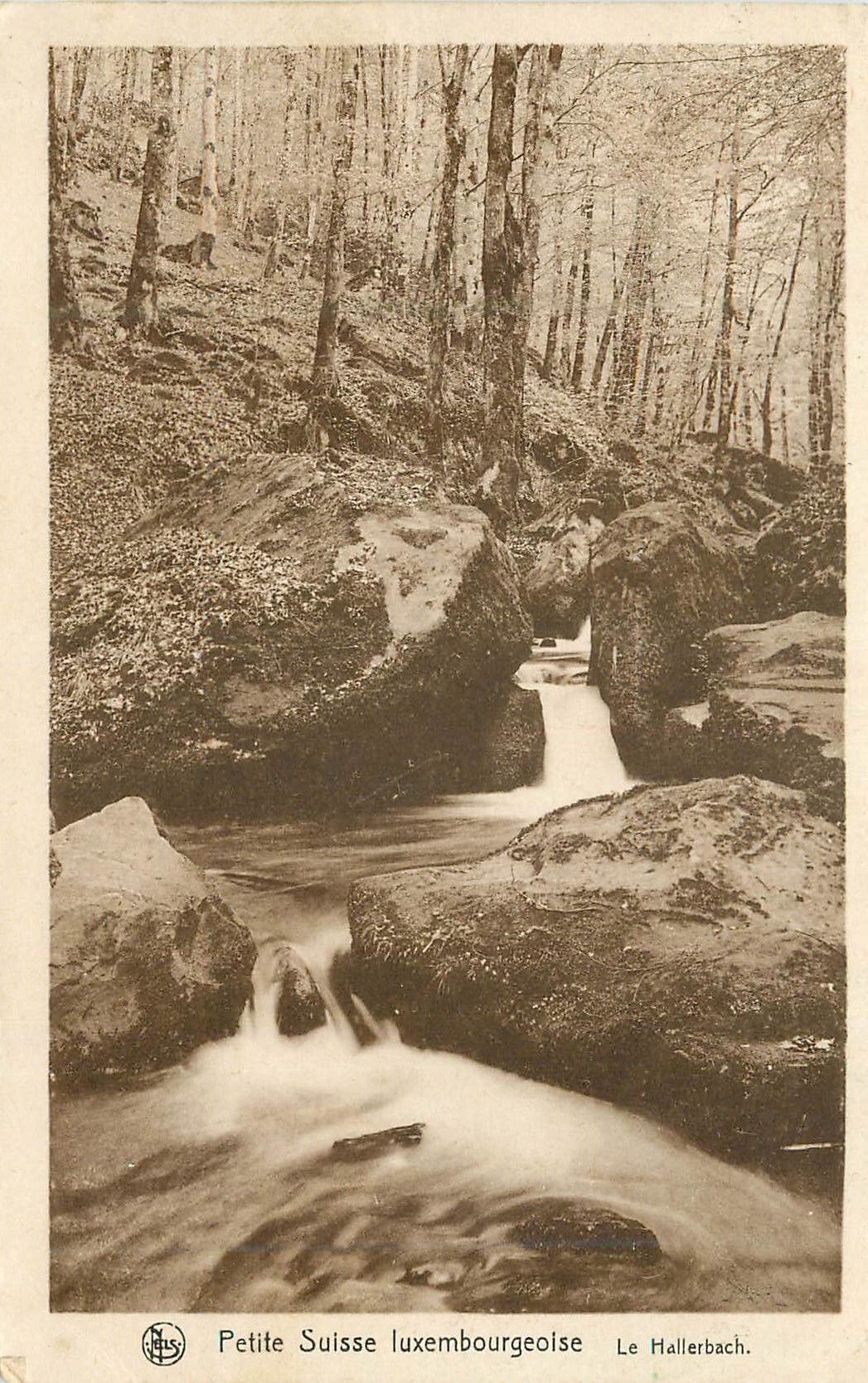 CPM Petite suisse luxebourgeoise le hallerbach
