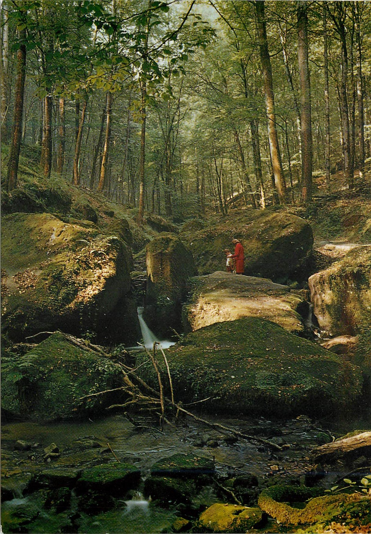 CPM Luxembourg Hallerbach Promenade H.Beaufort Petite Suisse Luxembourgeoise