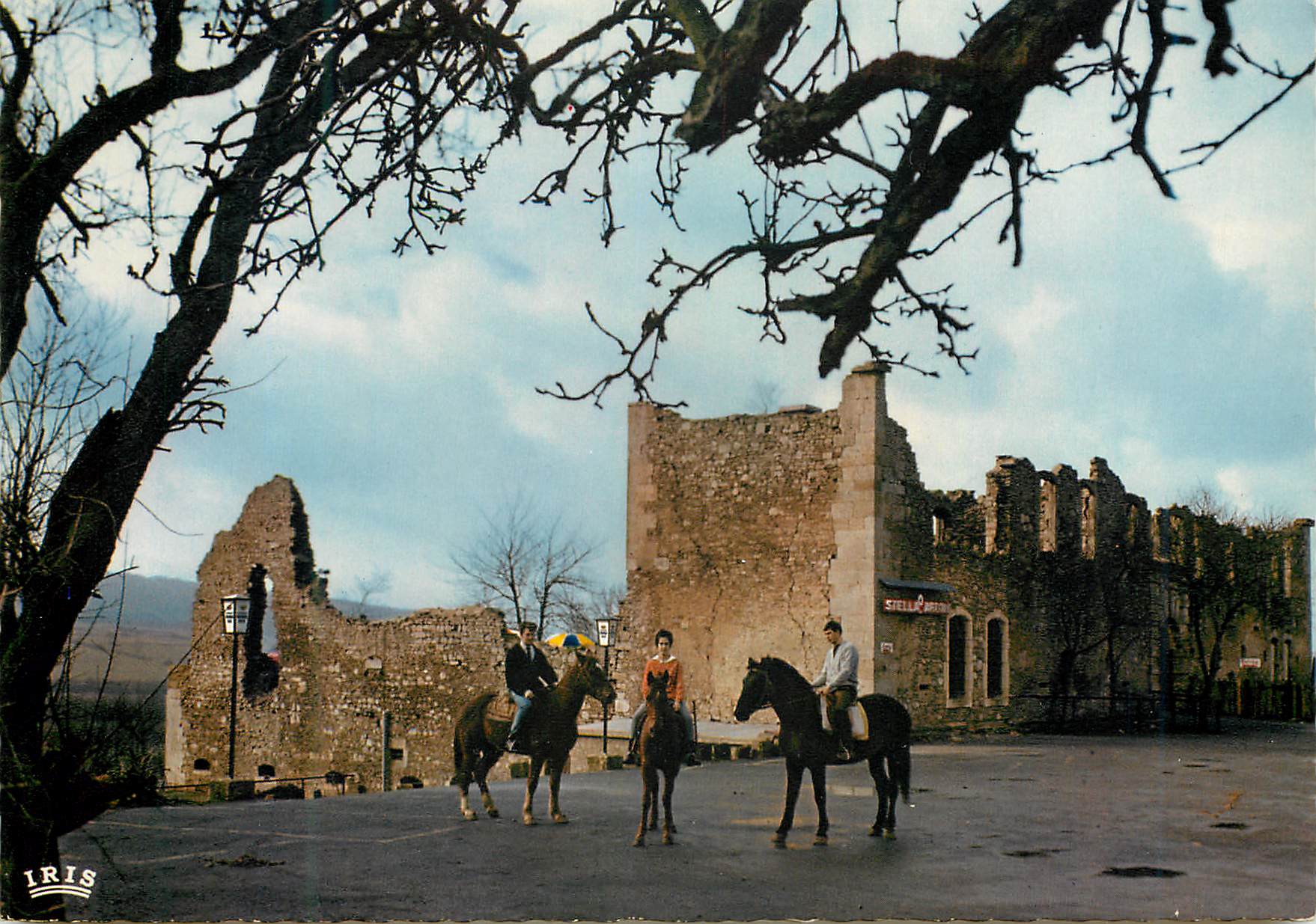 CPM Luxembourg Chateau historique des Dragons de Latour Virton Centre recreatif Cheval