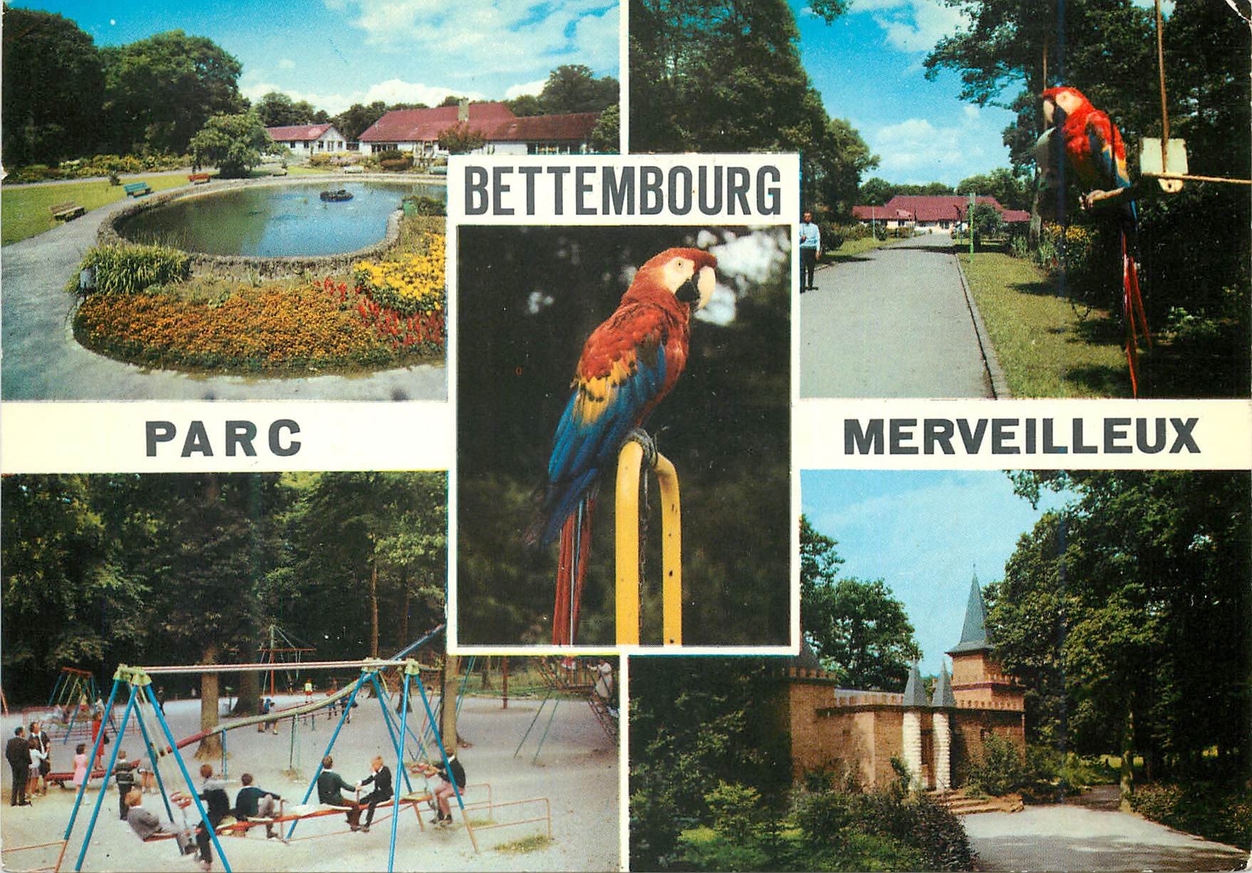 CPM Bettembourg Grand duche de Luxembourg Perroquet Balancoire