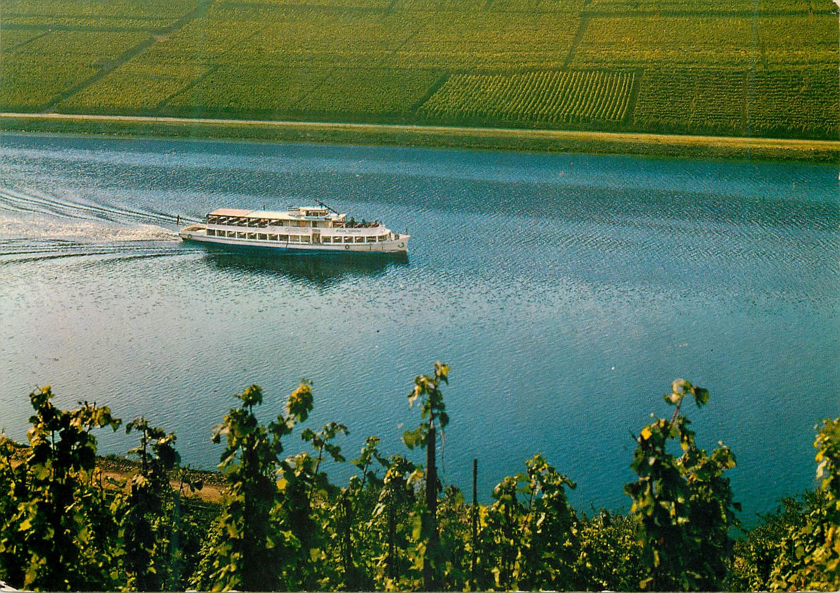 CPM Luxembourg La Moselle Bateau La Filia Rheni
