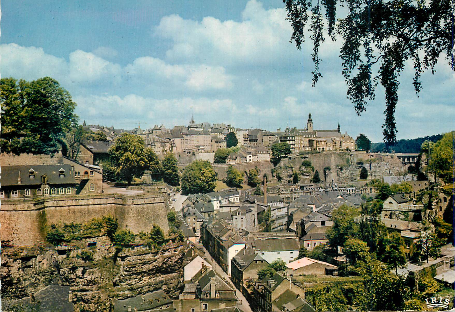 CPM Luxembourg Les Remparts de la ville haute et le faubourg du Grund