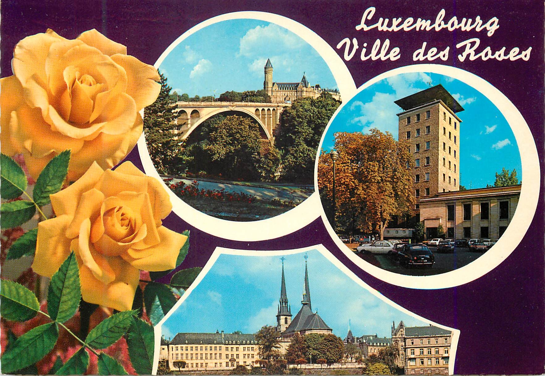 CPM Luxembourg Ville des Roses