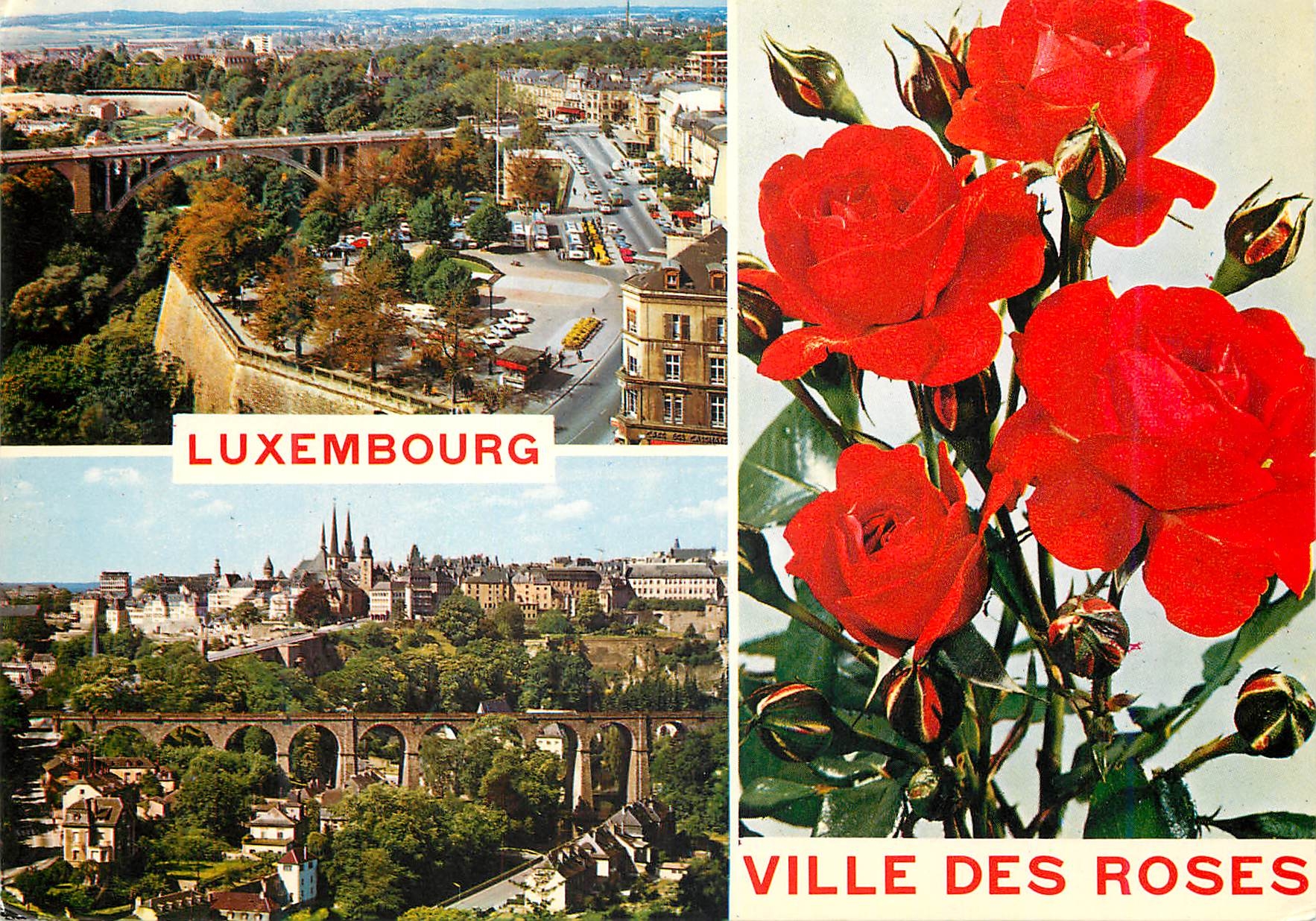 CPM Luxembourg Ville des Roses