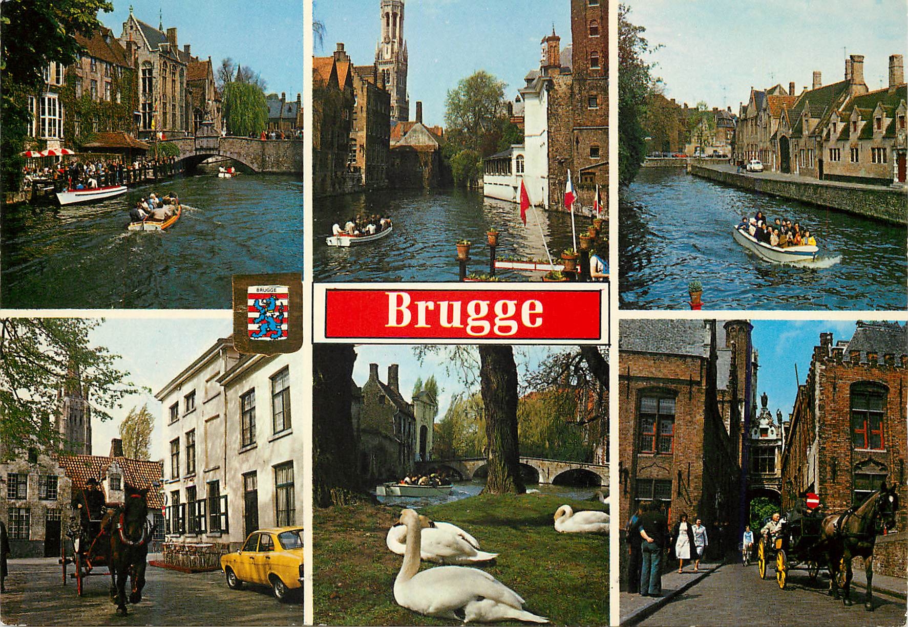 CPM Brugge un bonjour Cygnes