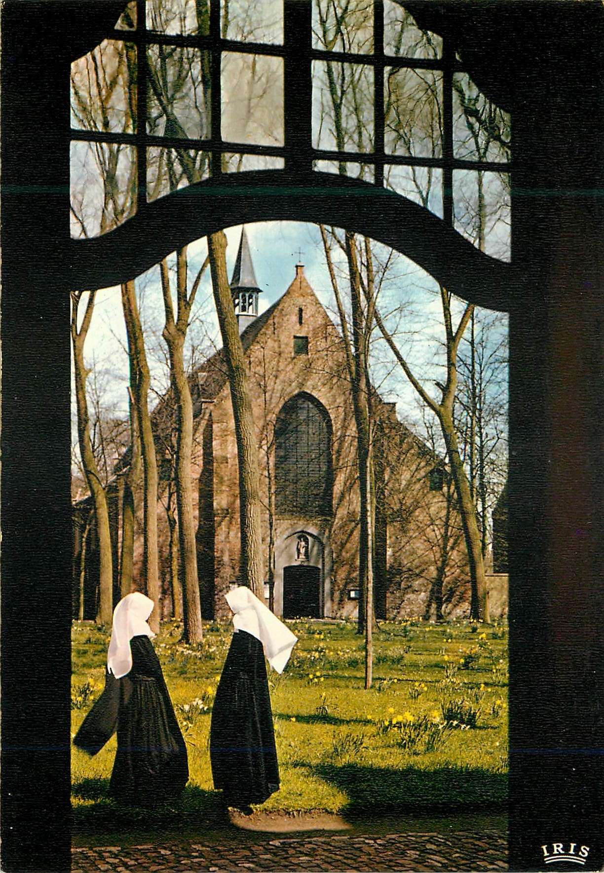 Bruges - Église Sainte-Elisabeth — Iris