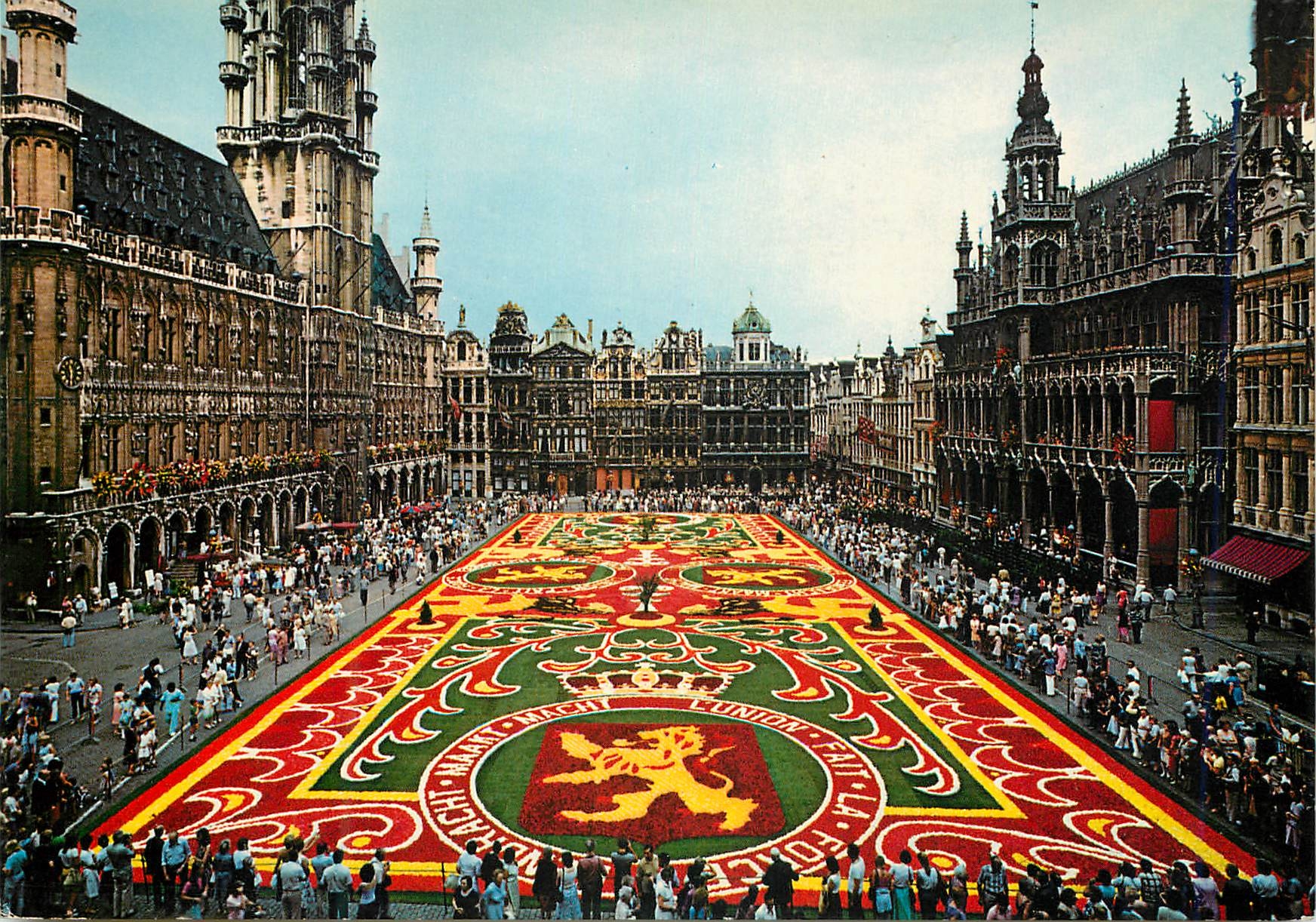 CPM Bruxelles grand place tapis de fleurs