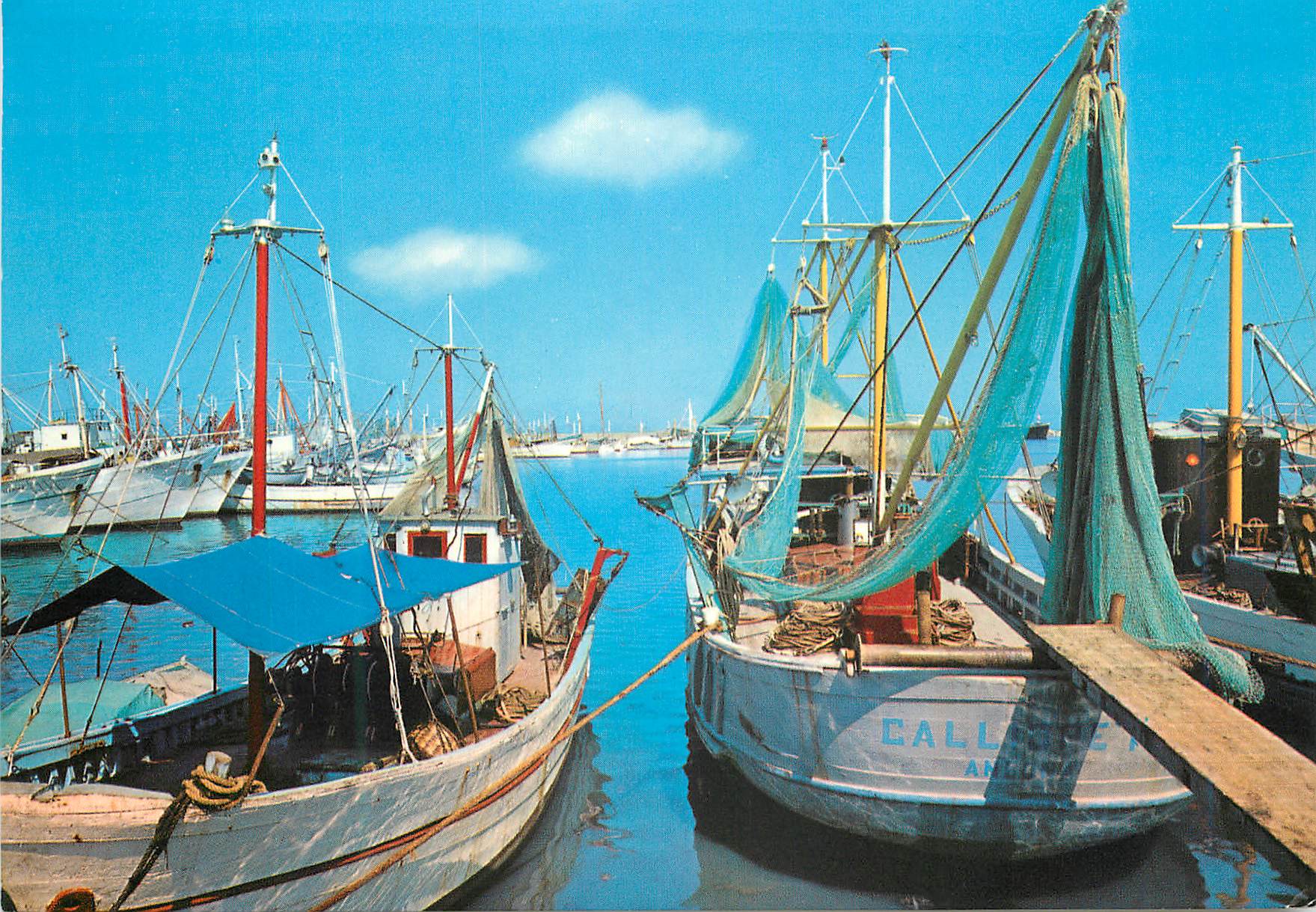 CPM S Benedetto del Tronto Le Port