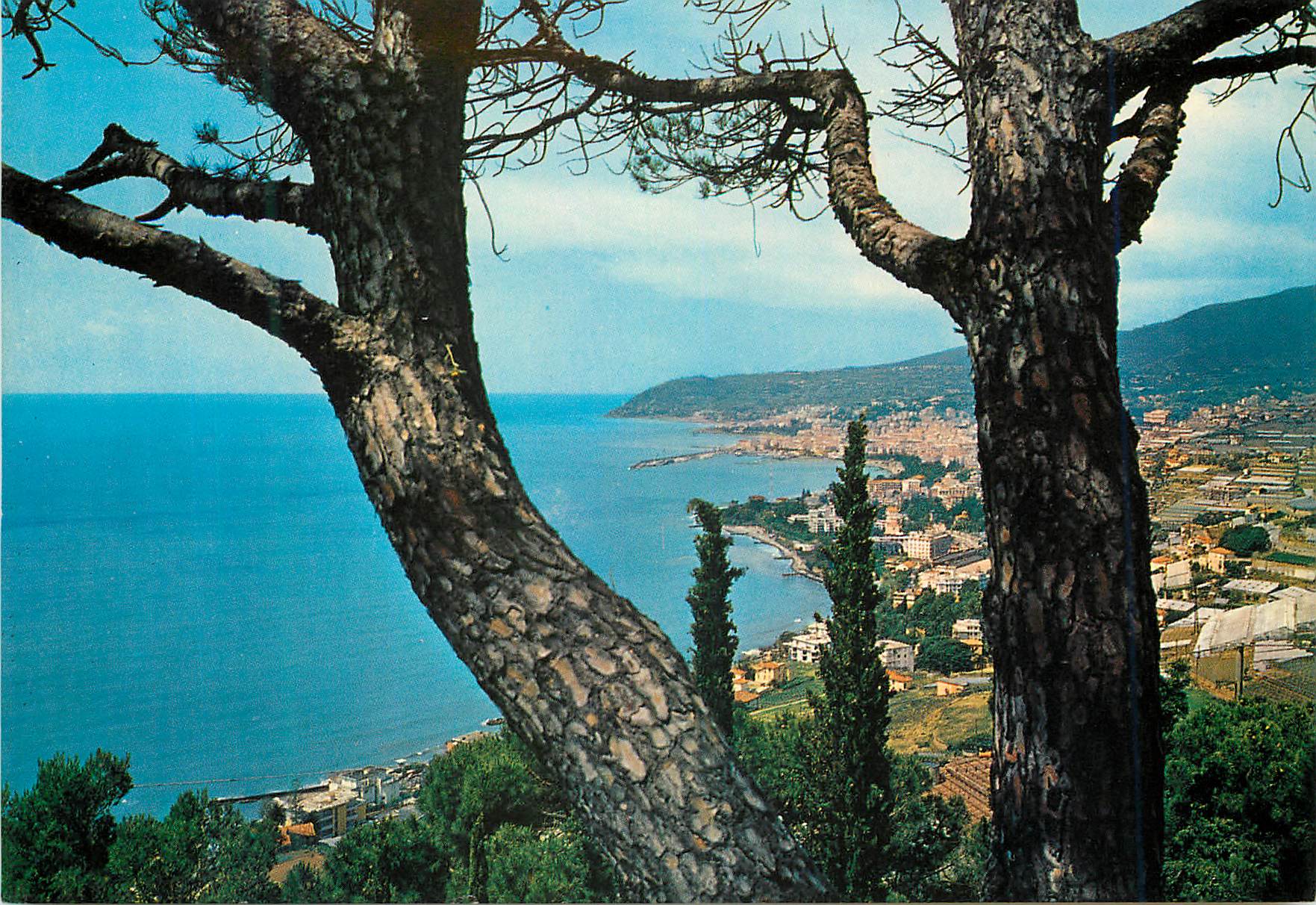 CPM San Remo Riviere des fleurs Panorama
