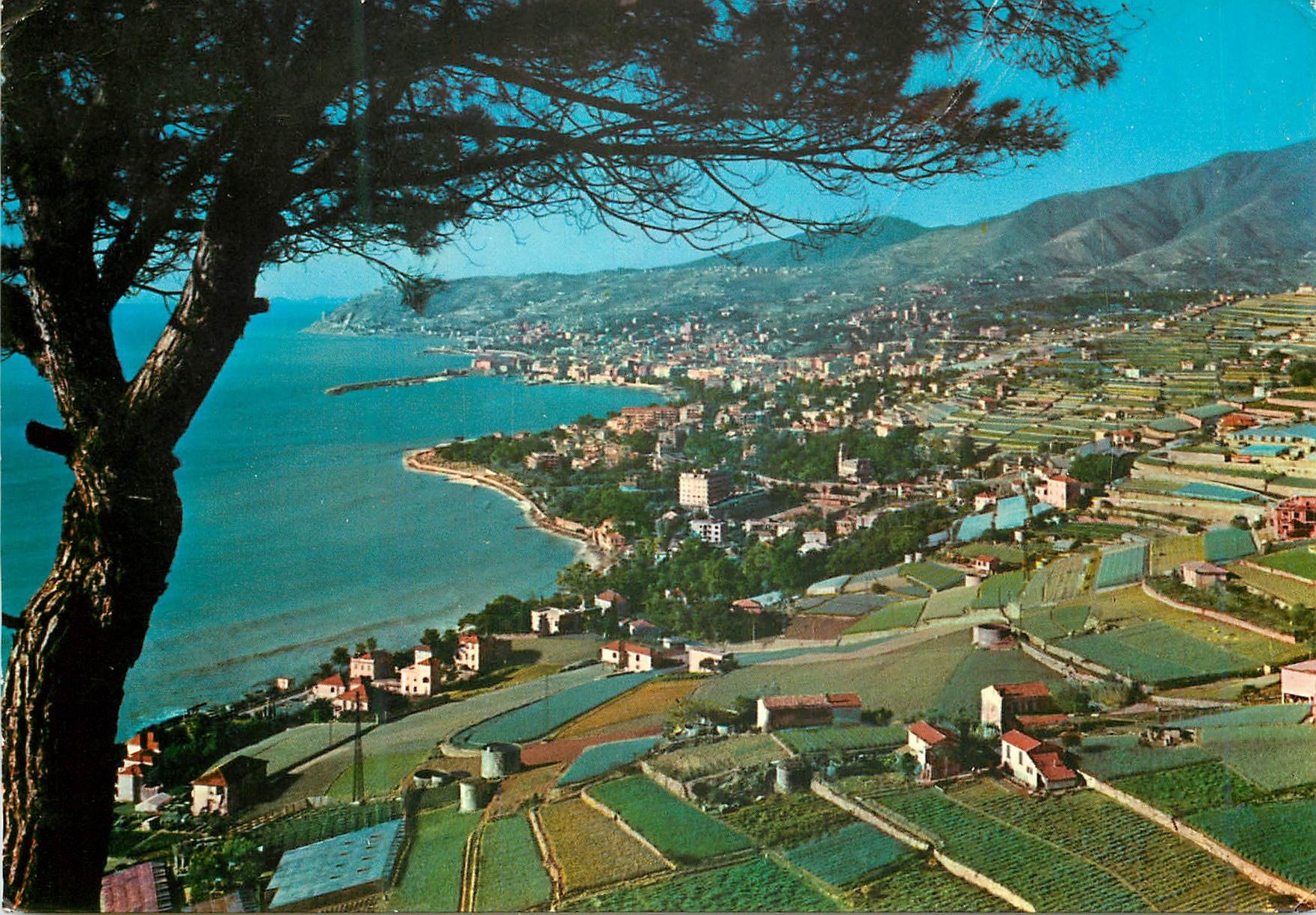 CPM San Remo Riviera dei Fiori Panorama vu de l'Est