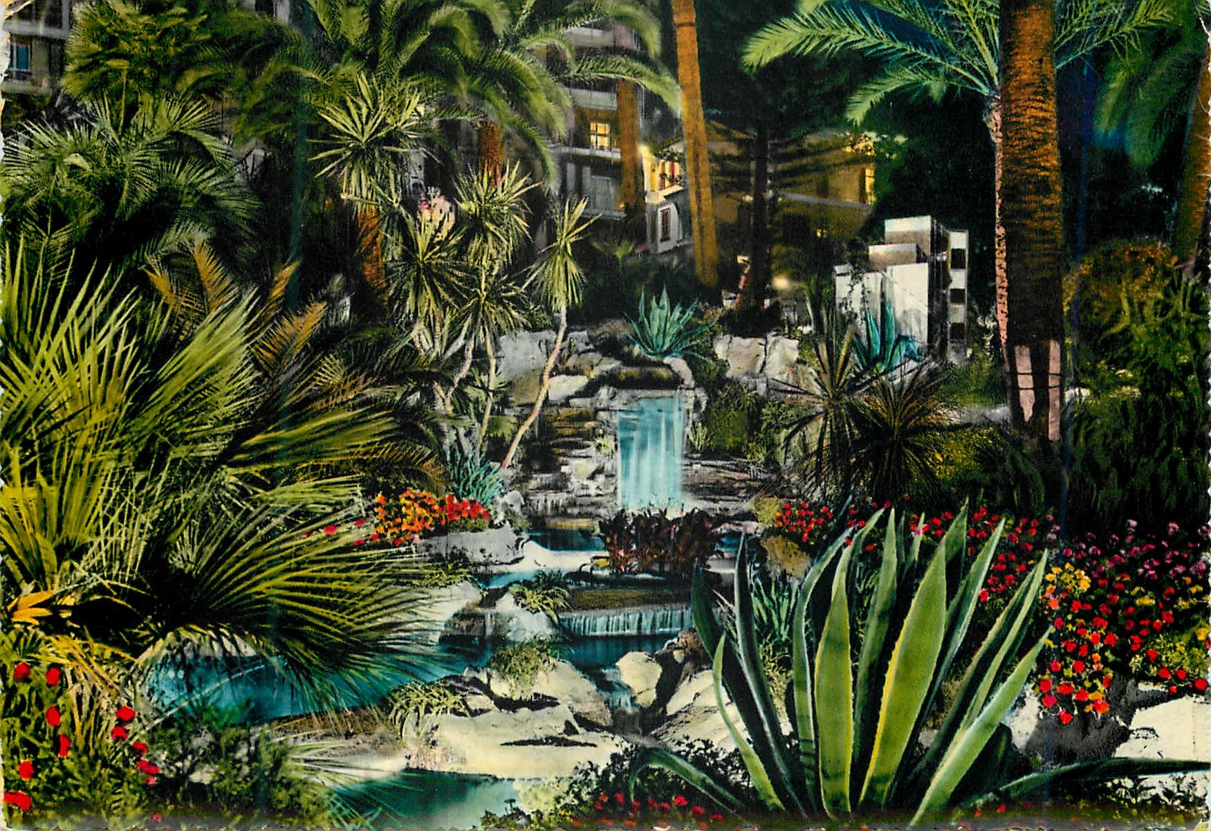 CPM San Remo Riviera dei fiori La bautÃ© de sa nature