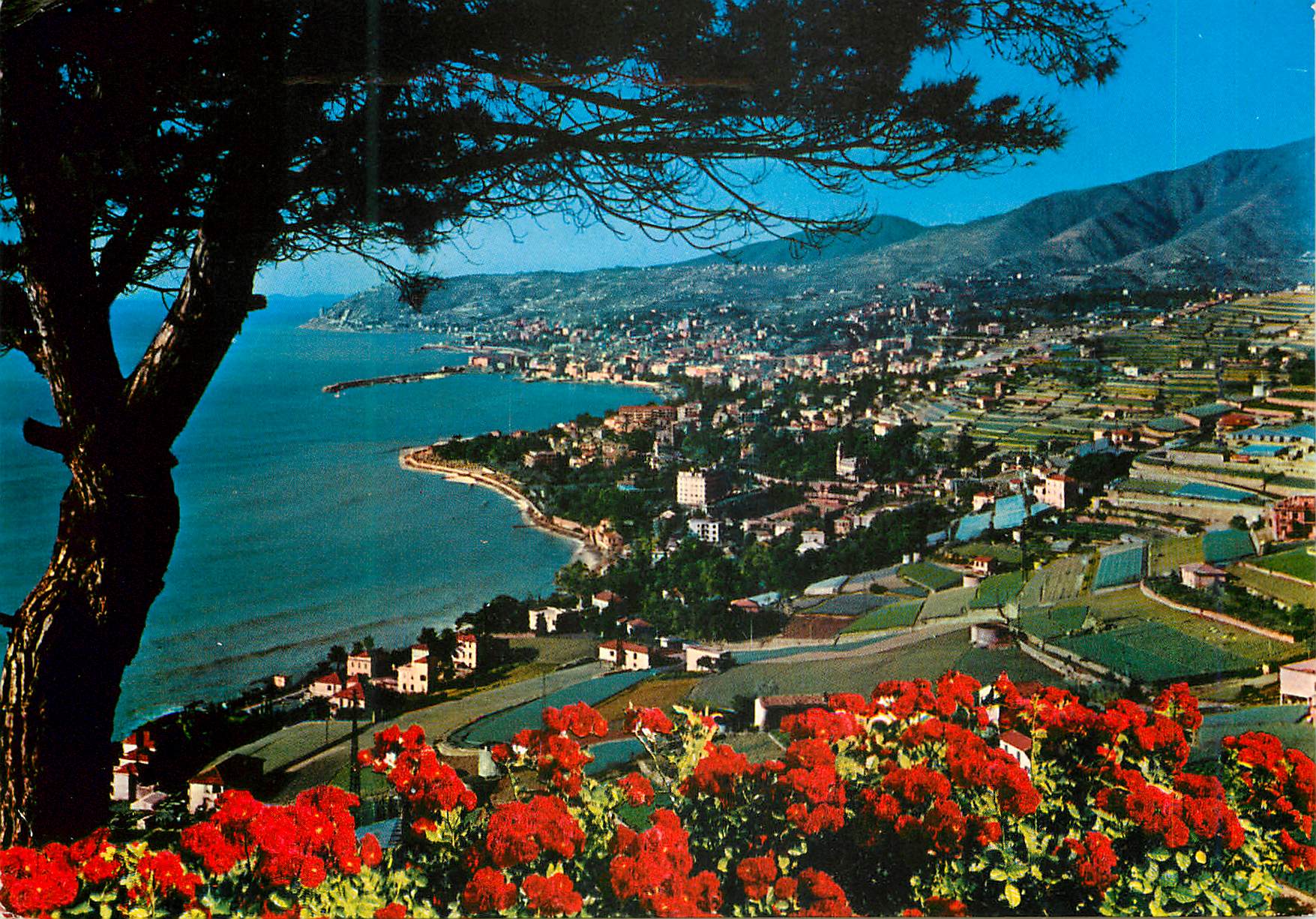 CPM San Remo Riviera dei fiori Panorama vu de l'Est