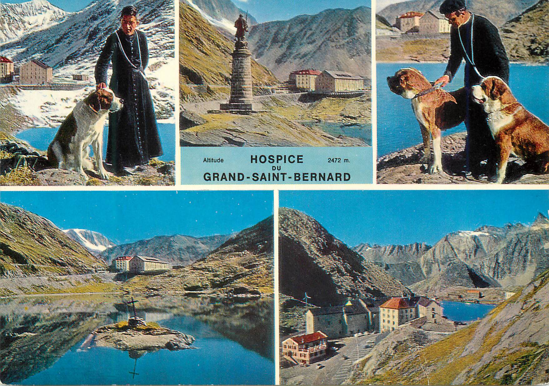 CPM Hspice du grand saint bernard alt 2472 m Chien