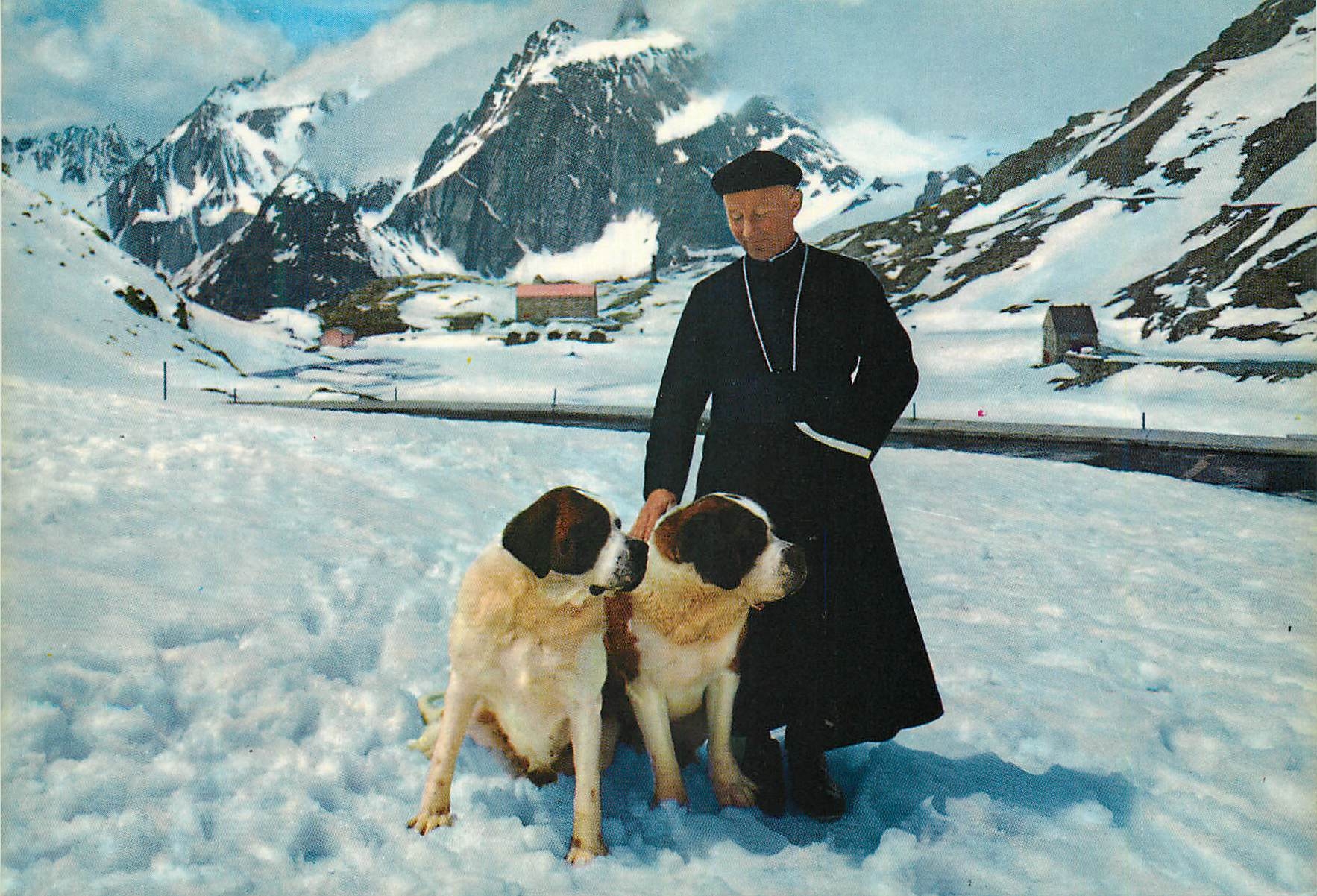 CPM Passo del gran san bernardi m 2467 Chiens