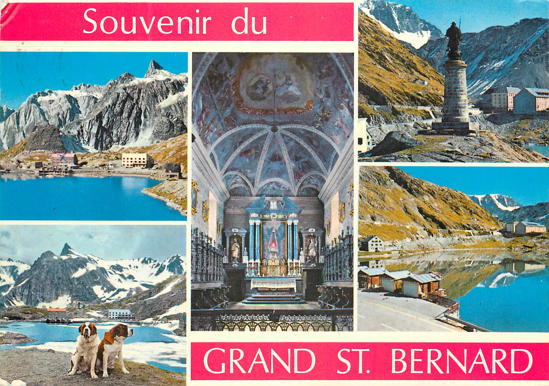 CPM Souvenir du grand st bernard
