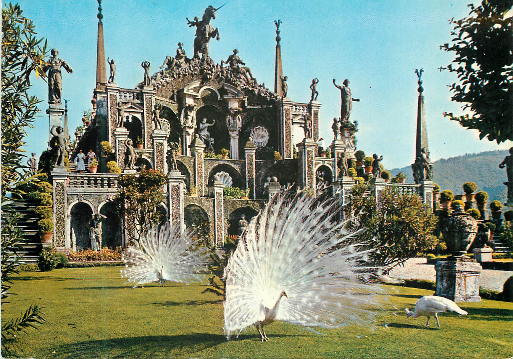 CPM Lac majeur isola bella terrasse jardins