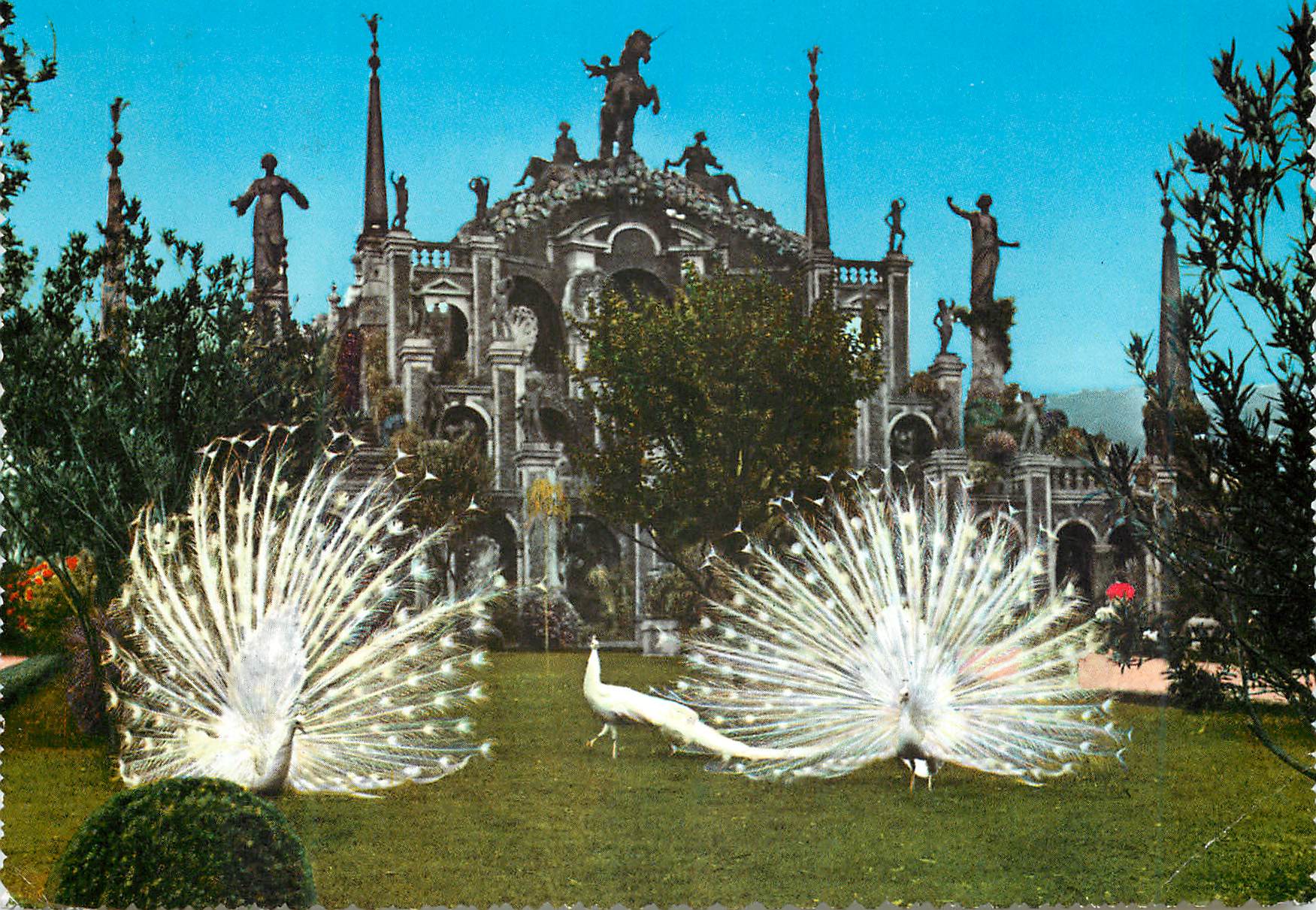 CPM Lac majeur belle ile jardin avec les paons