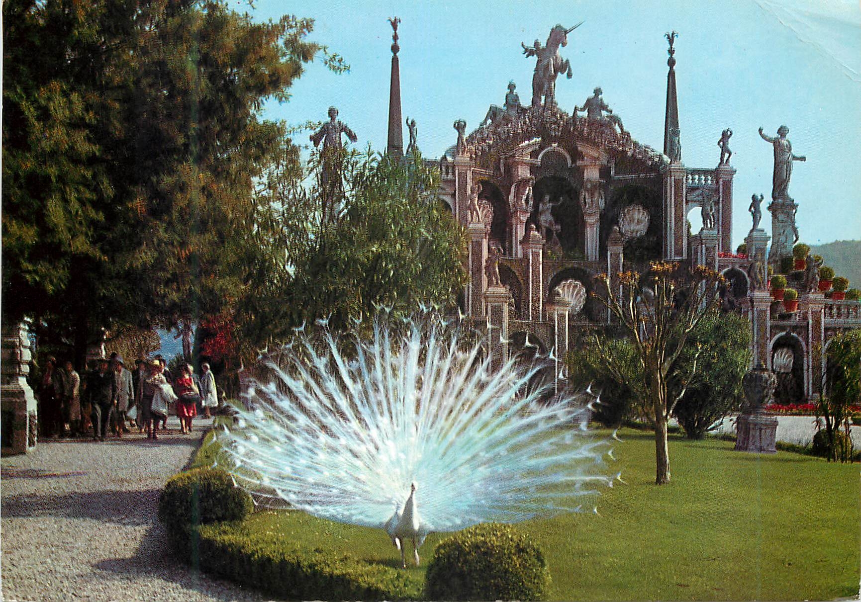 CPM Lac majeur isola bella jardin Paons