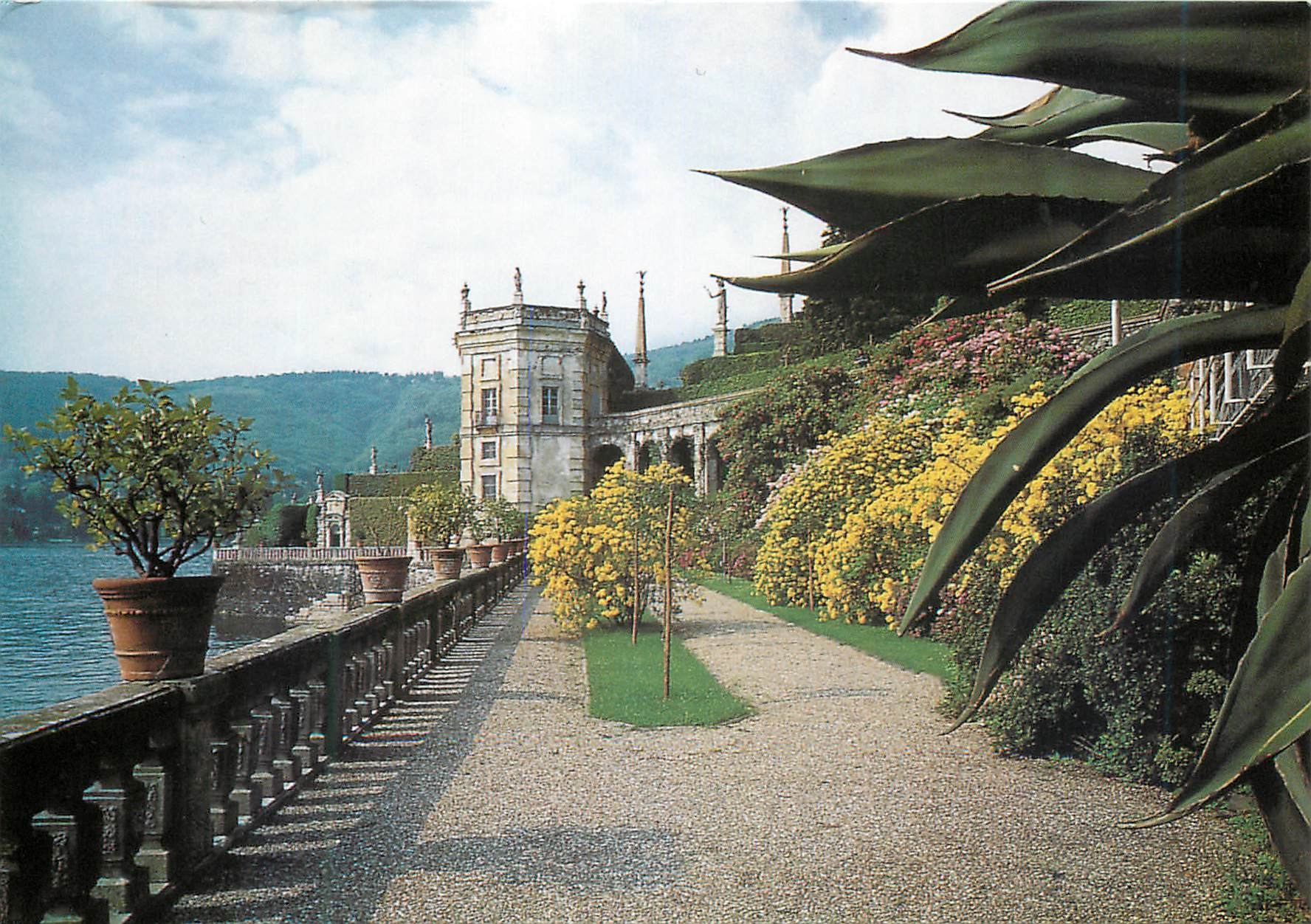 CPM Isola bella (lago maggiore) il giardino della dimora barrameo