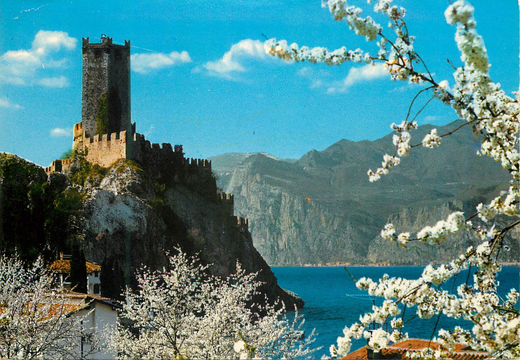 CPM Malcesine le chateau scaligero printemps 