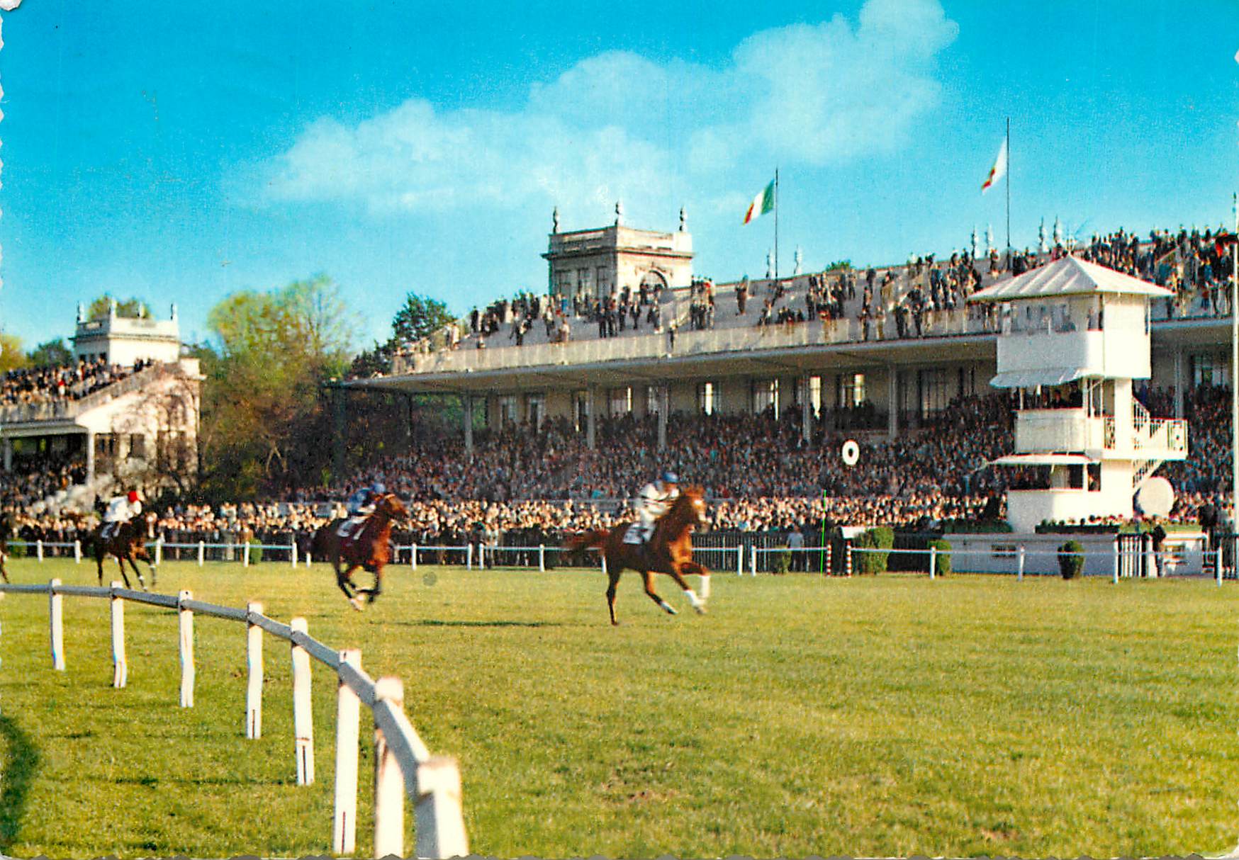 CPM Milano Hippodrome de San Siro Chevaux