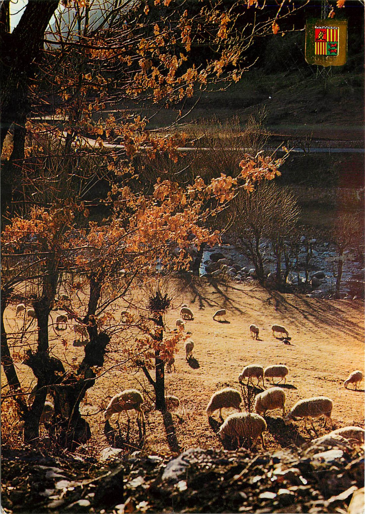 CPM Andorra Valls d'Andorra Paysage