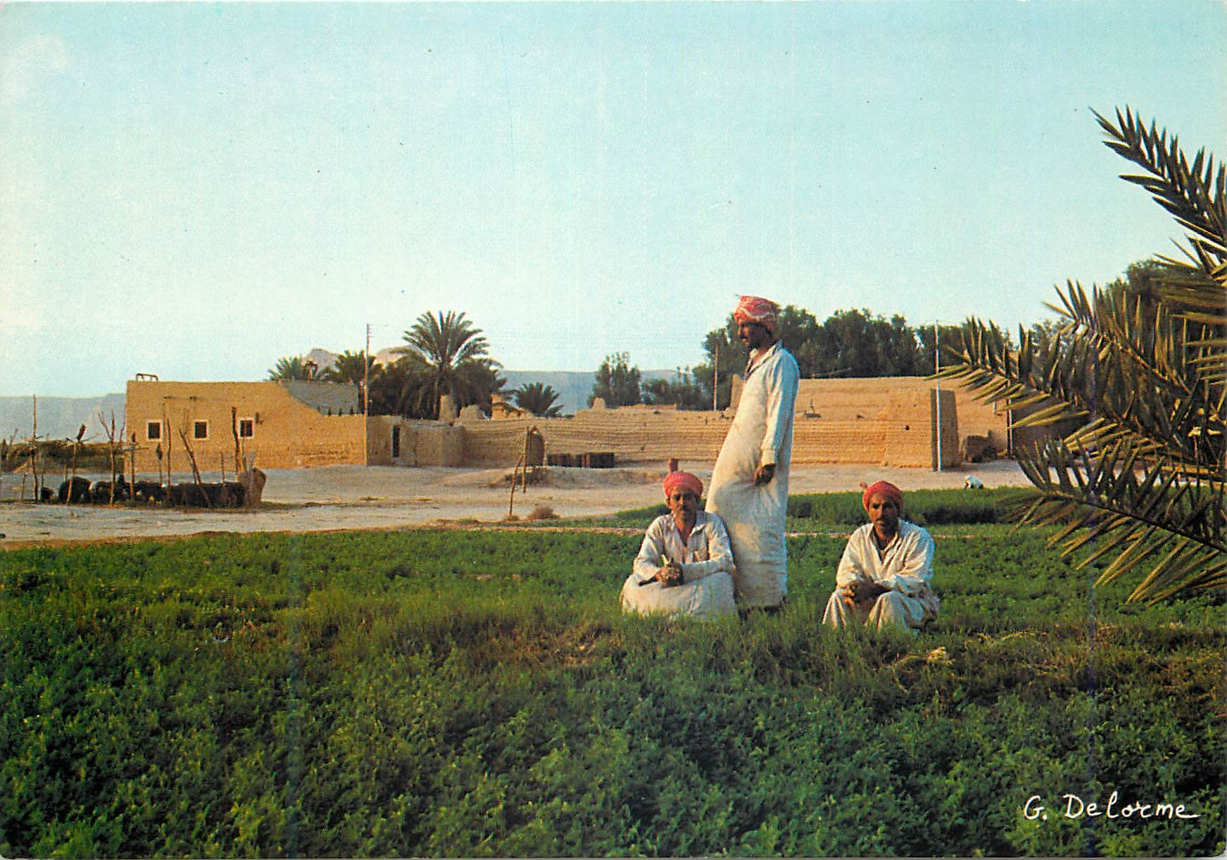 CPM Riyadh Fermiers aux environs de la ville