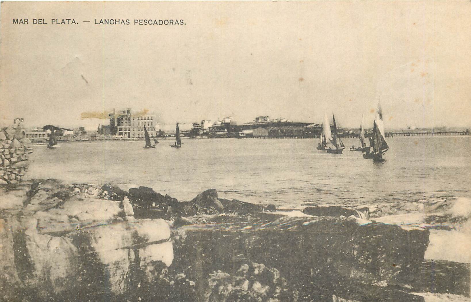 CPA Mar Del Plata Lanchas Pescadoras Bateaux